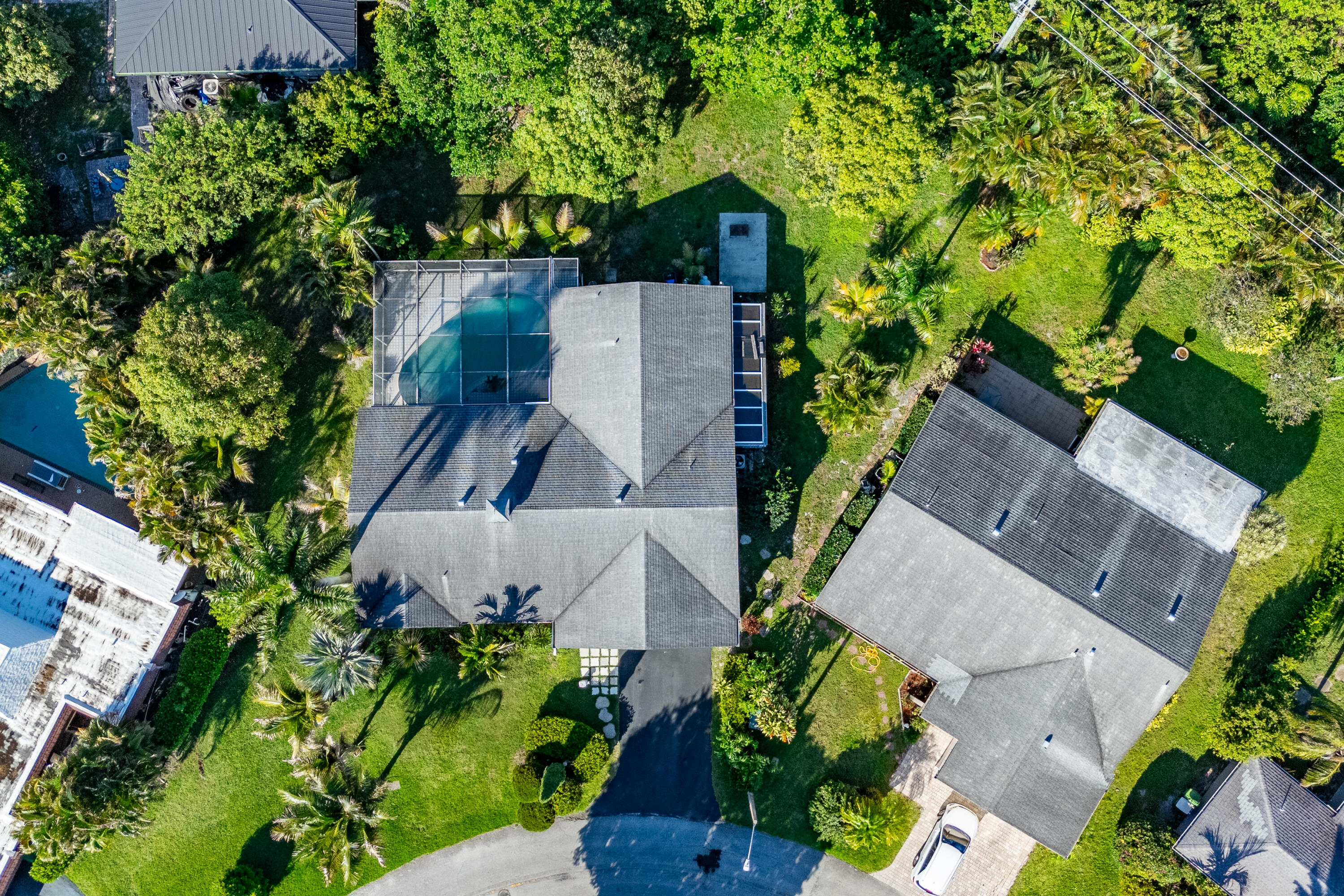 4507 Norfolk Island Pine Drive