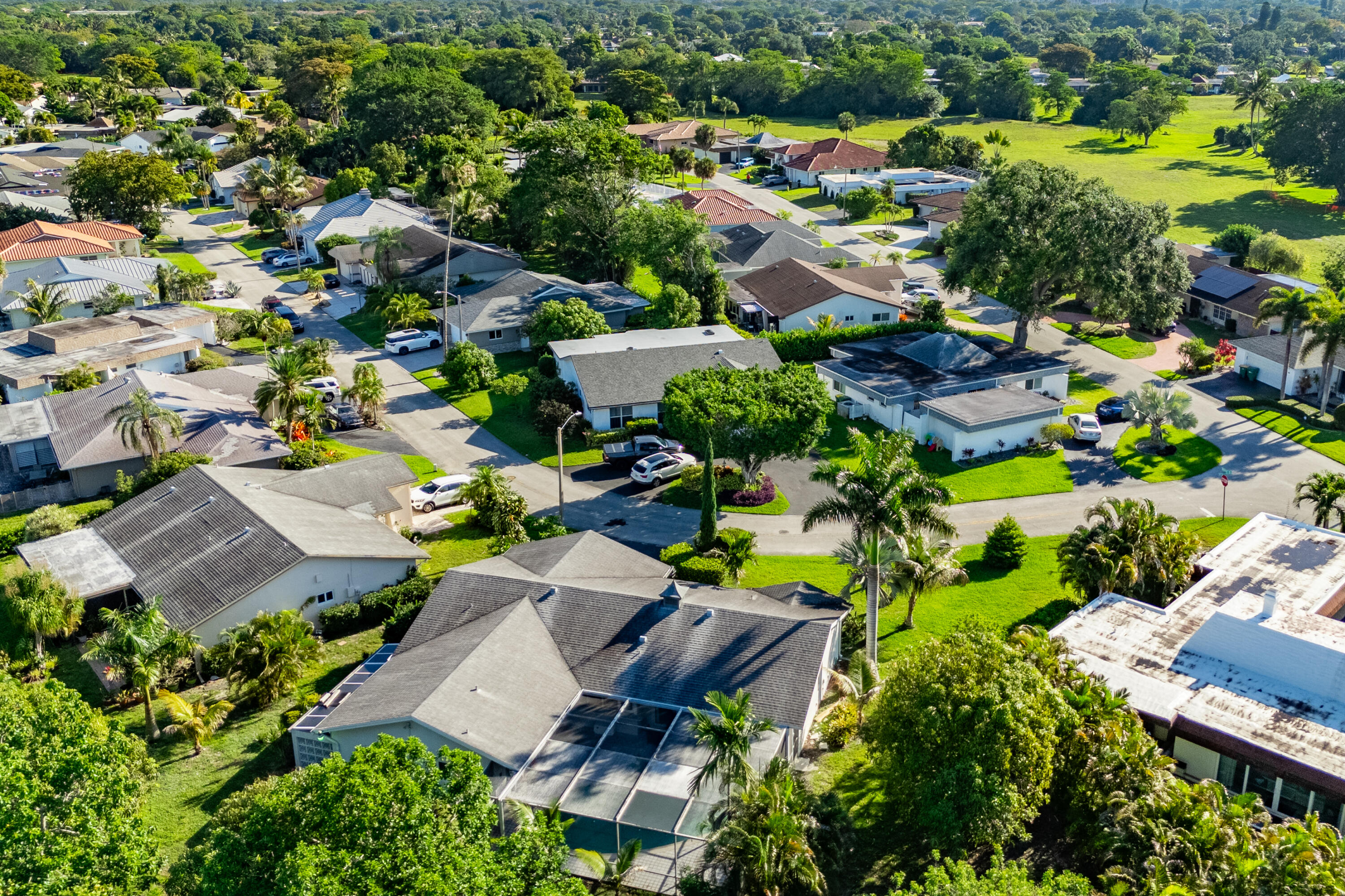 4507 Norfolk Island Pine Drive