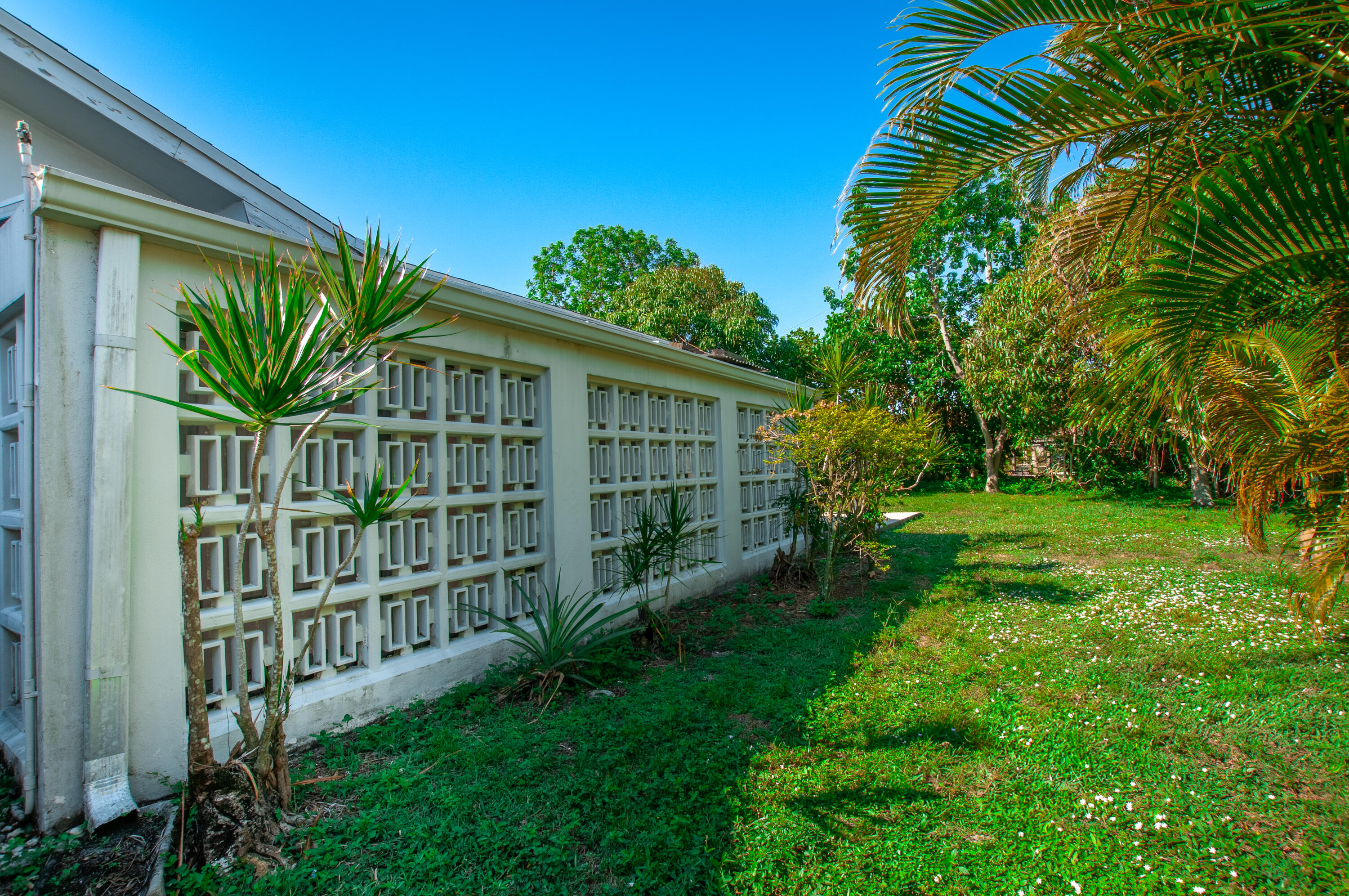 4507 Norfolk Island Pine Drive