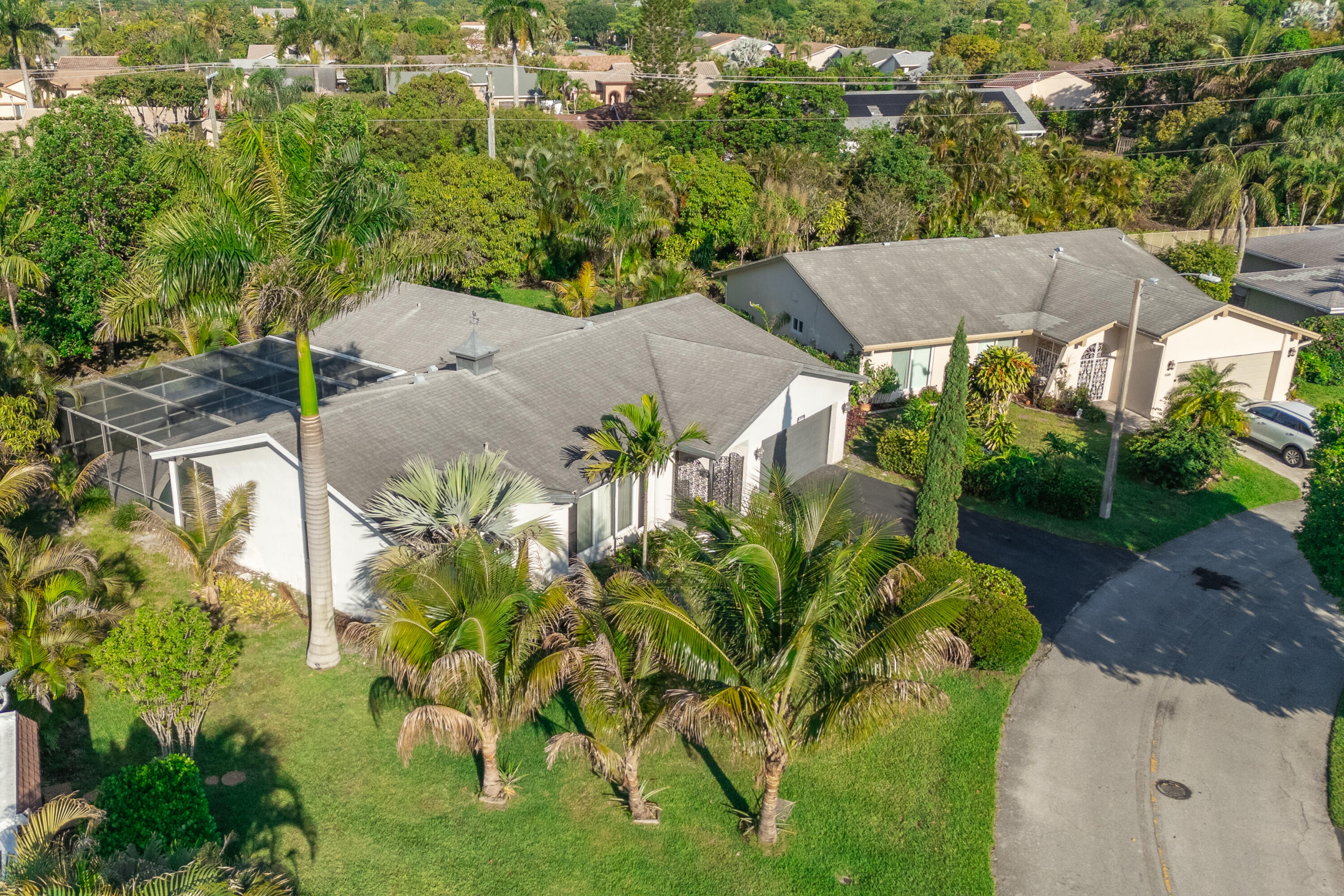 4507 Norfolk Island Pine Drive