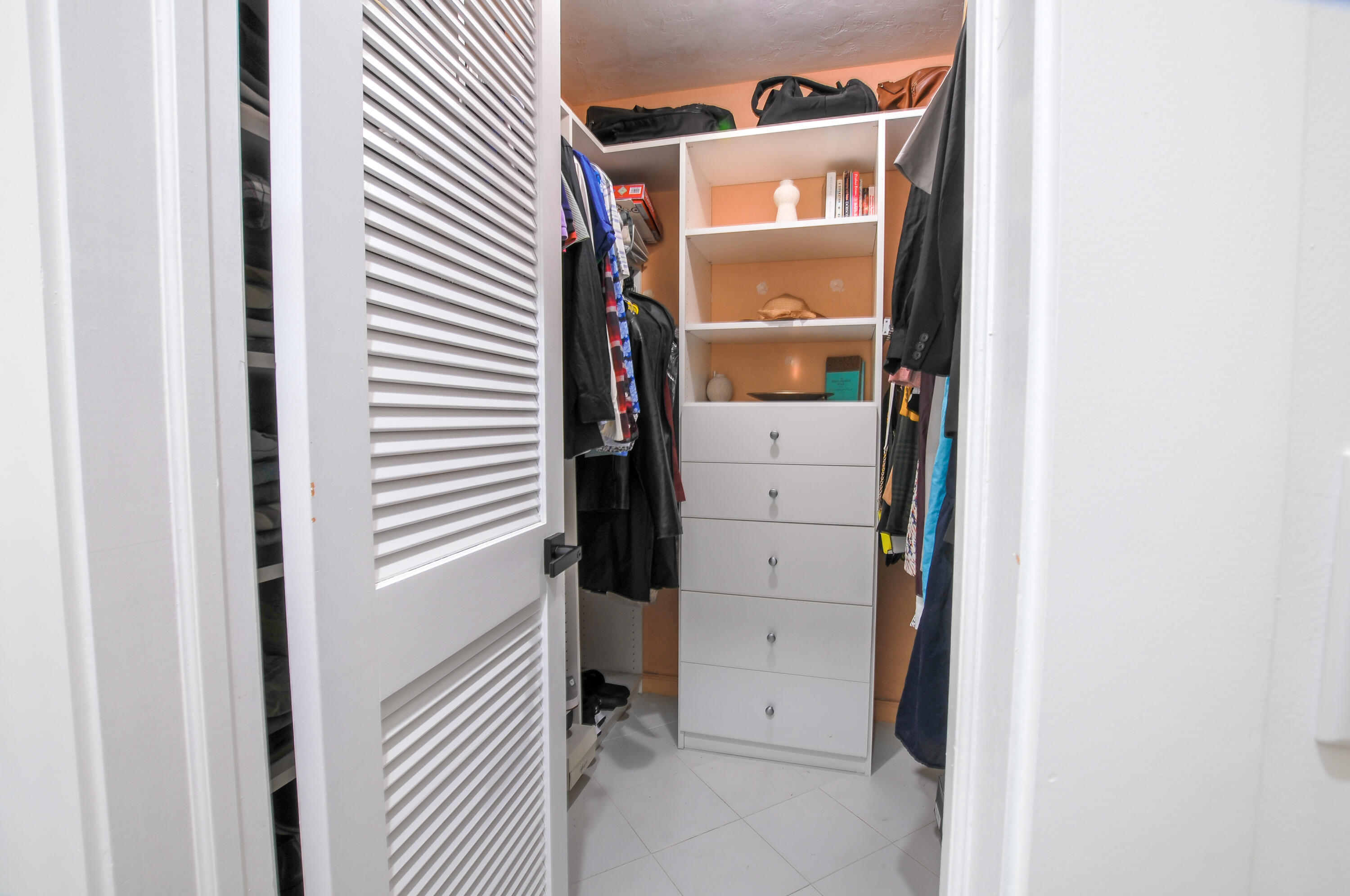 4507 Norfolk Island Pine Drive
