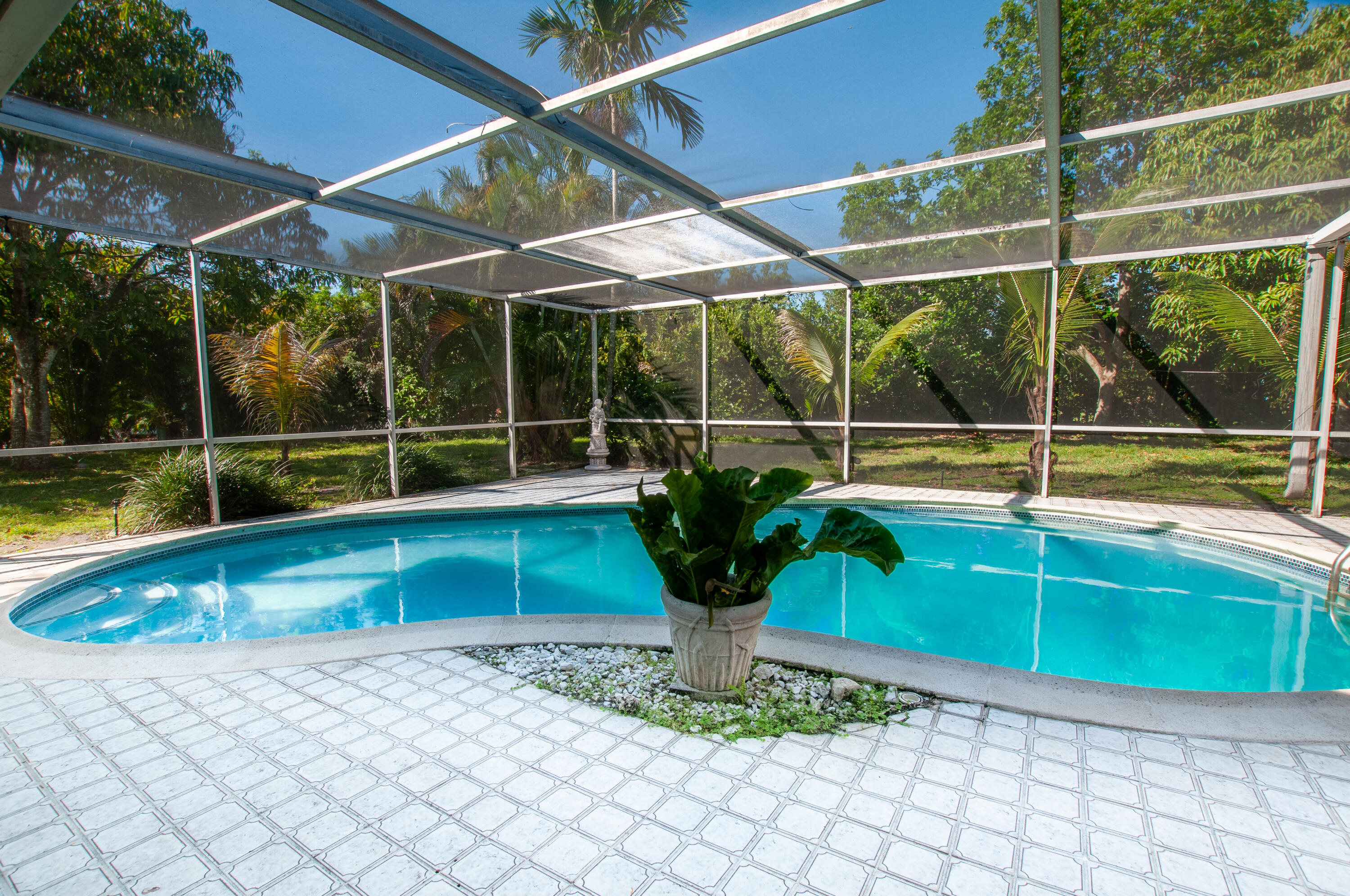 4507 Norfolk Island Pine Drive