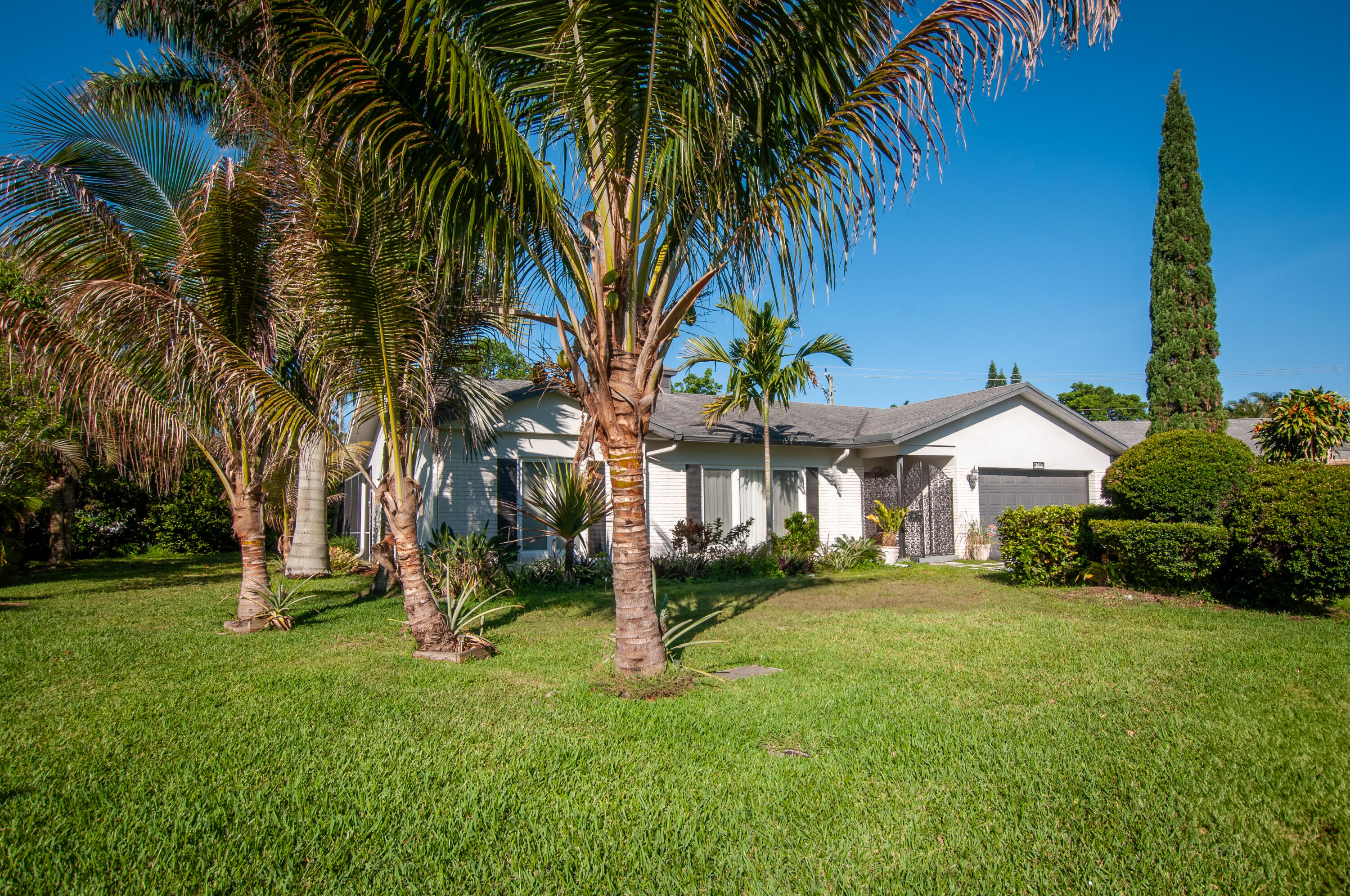 4507 Norfolk Island Pine Drive