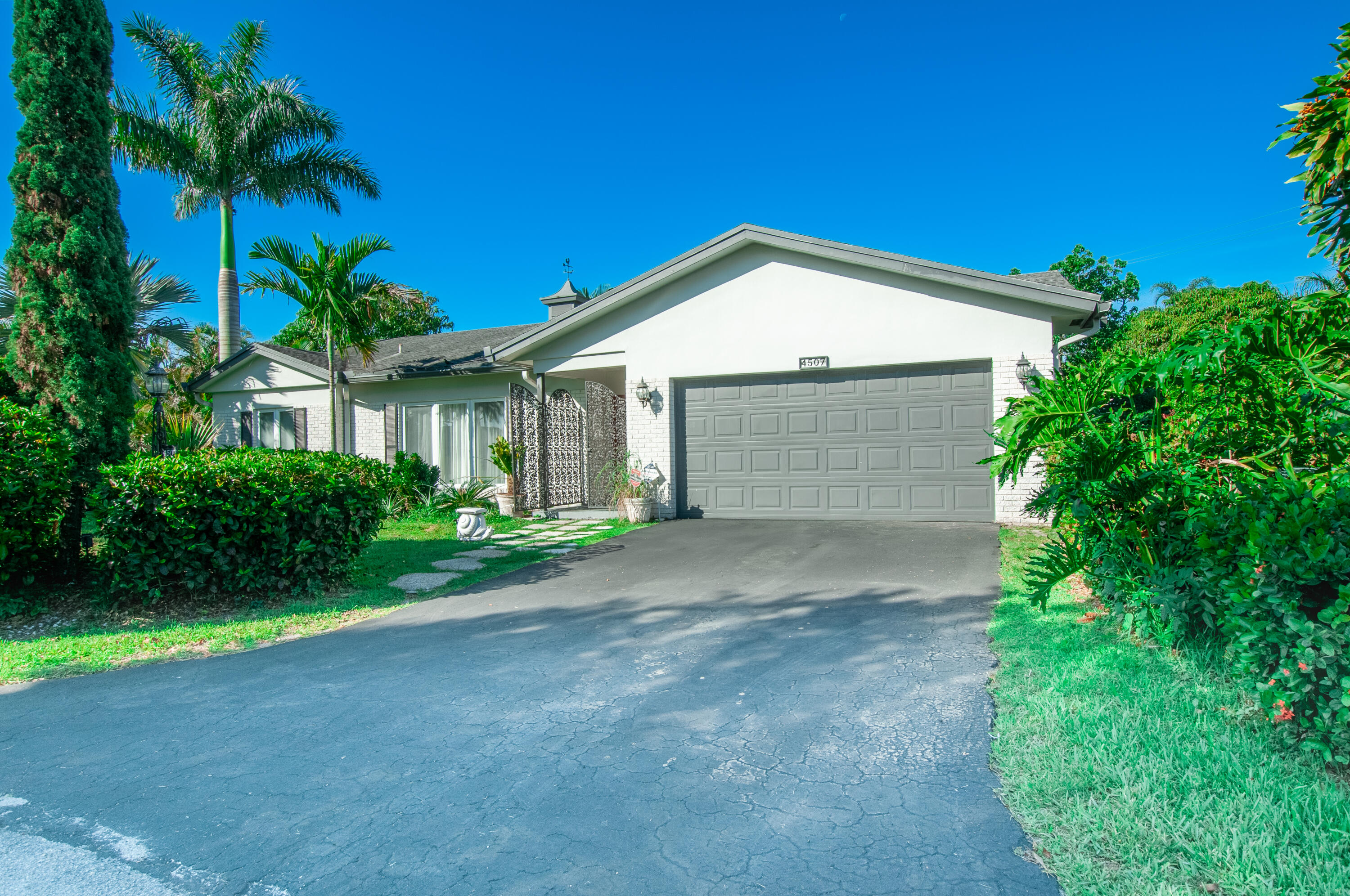 4507 Norfolk Island Pine Drive