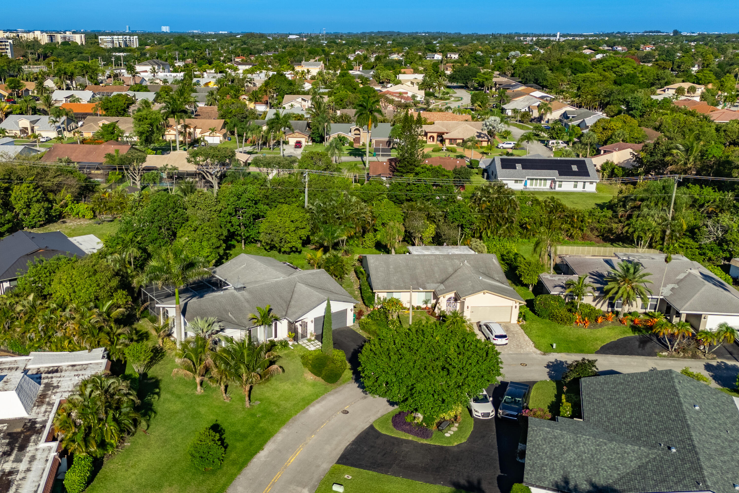 4507 Norfolk Island Pine Drive
