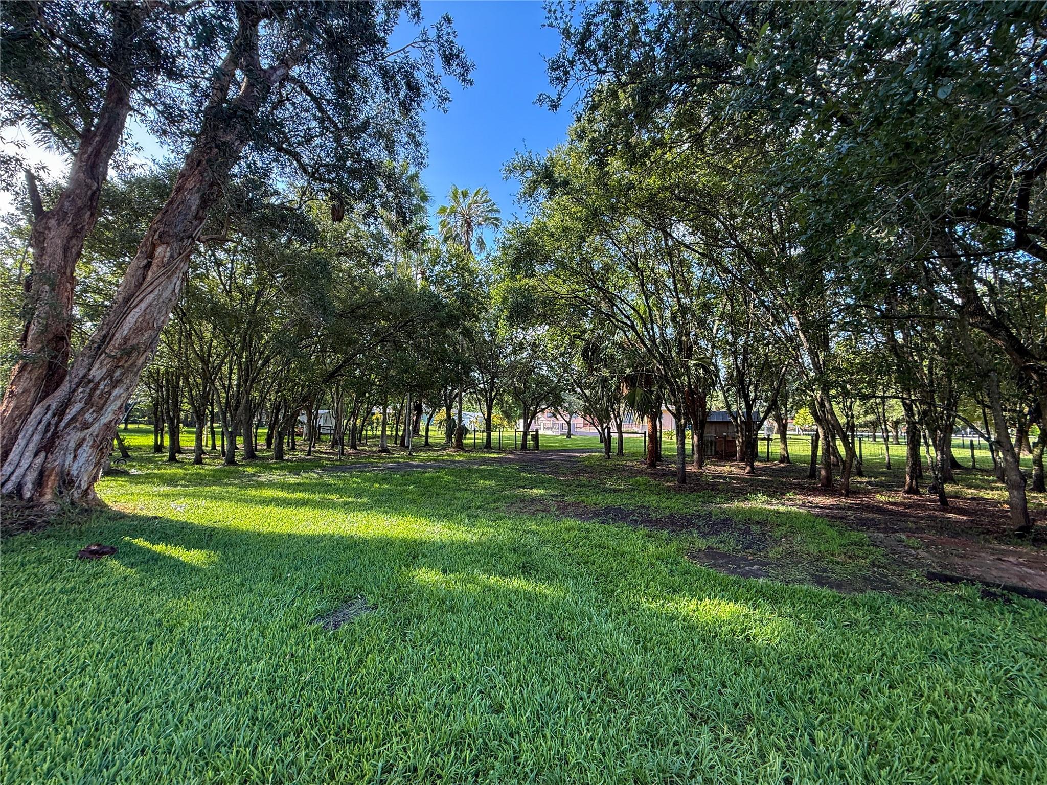 14431 MUSTANG TRAIL