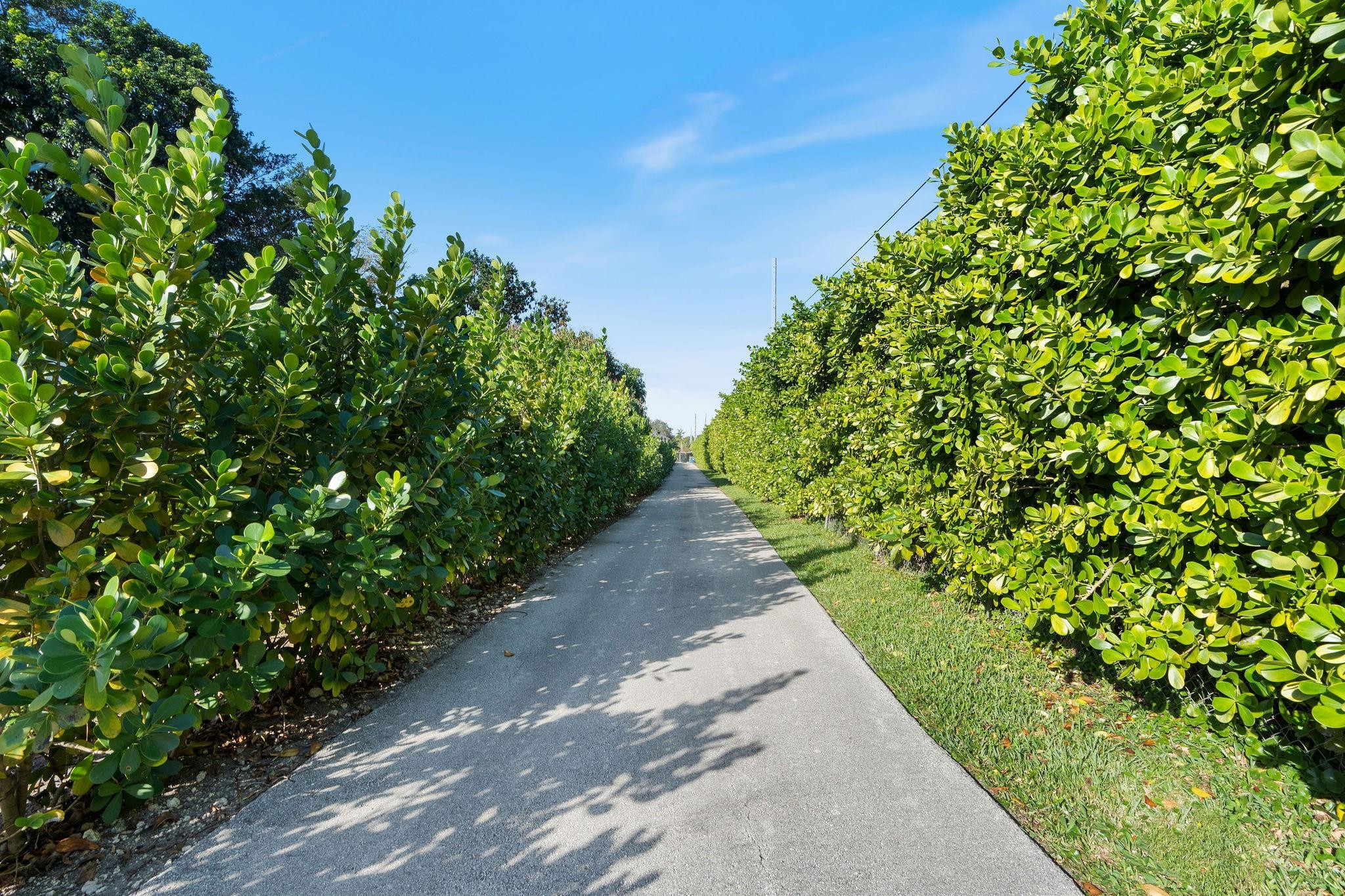 5702 SW 136 Avenue, Southwest Ranches