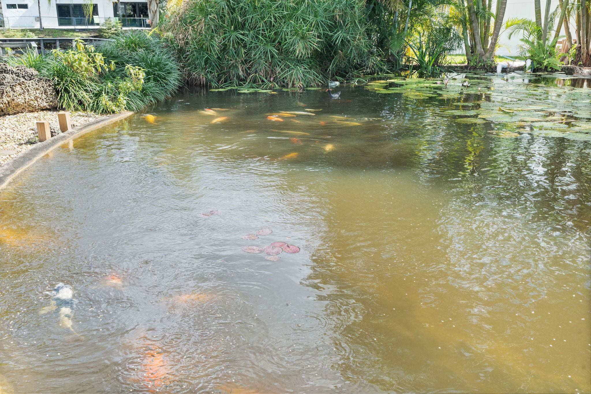 700 S Old Nob Hill Road, Plantation