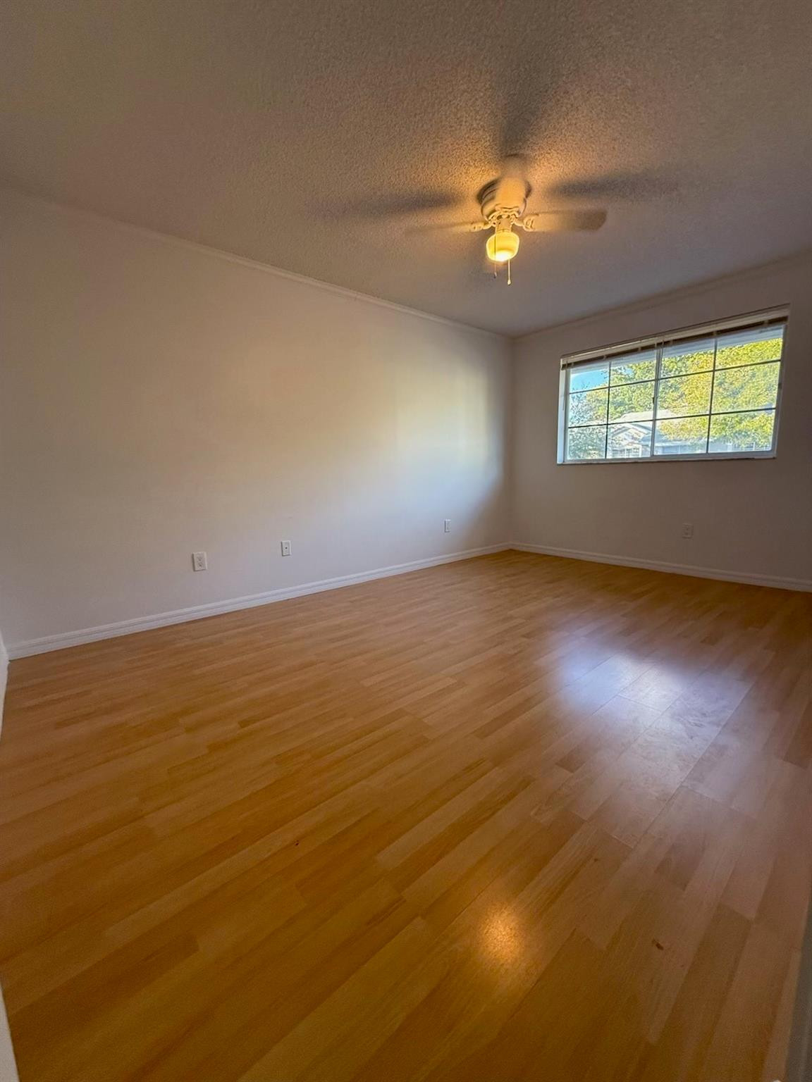 12164 SW 49th Court 12164