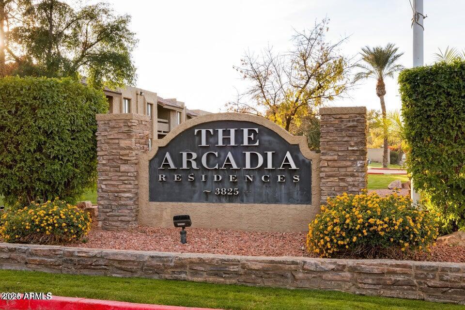 3825 E CAMELBACK Road 166