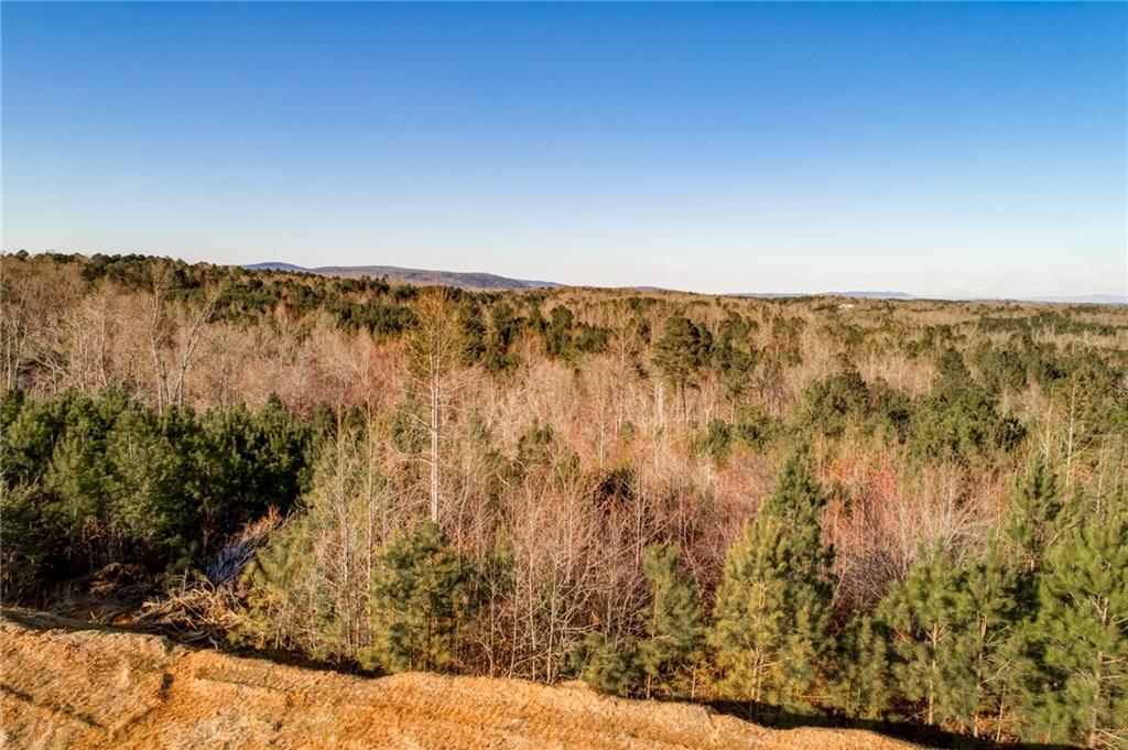 1055 Mt Carmel Church Lane, LOT 3