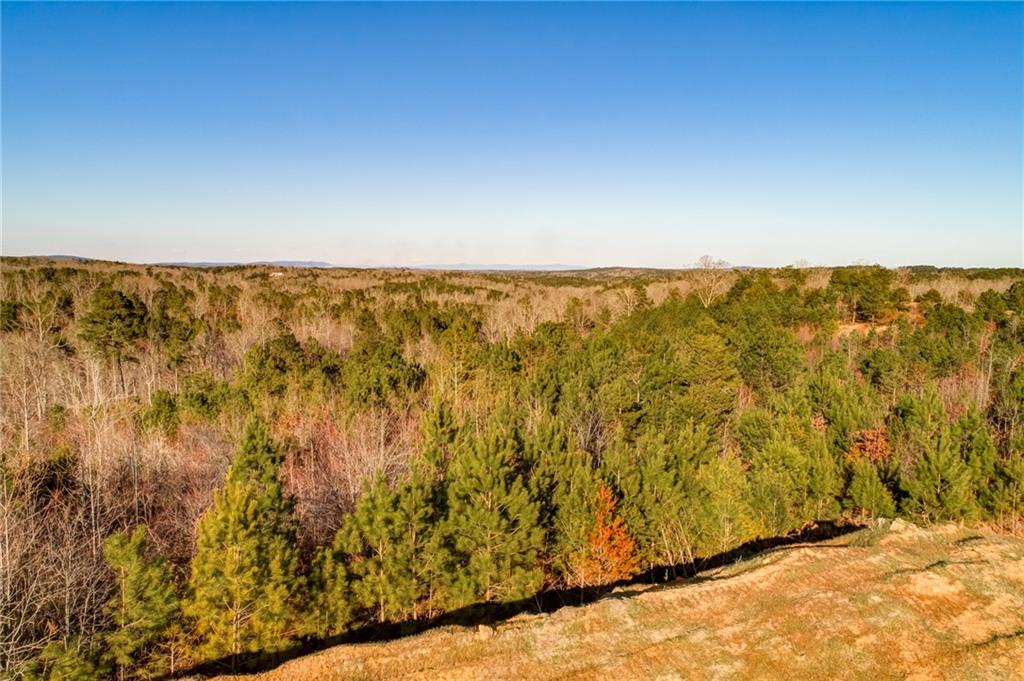 1055 Mt Carmel Church Lane, LOT 3