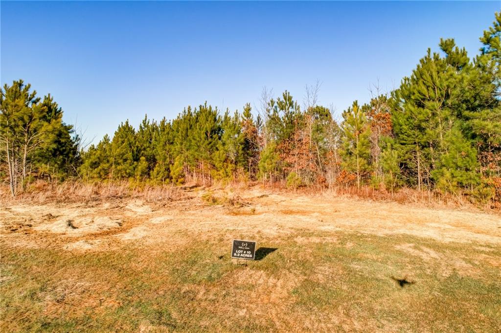 1055 Mt Carmel Church Lane, LOT 3