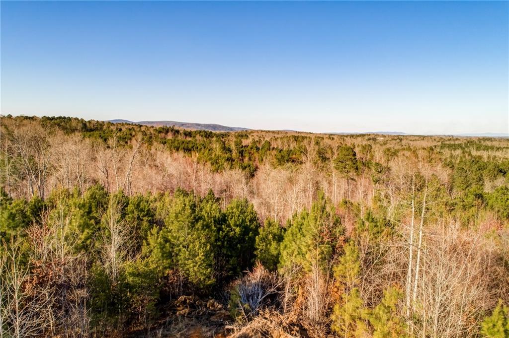 1055 Mt Carmel Church Lane, LOT 3