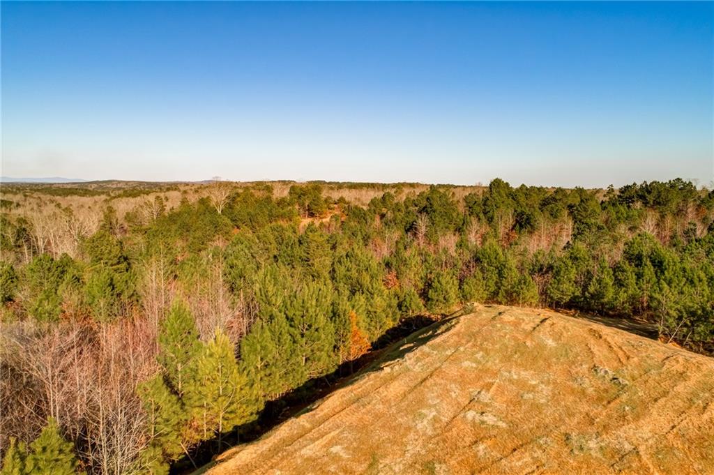 1055 Mt Carmel Church Lane, LOT 3