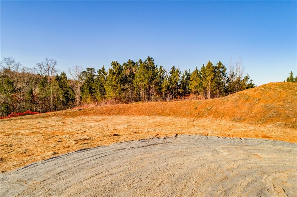 1055 Mt Carmel Church Lane, LOT 3