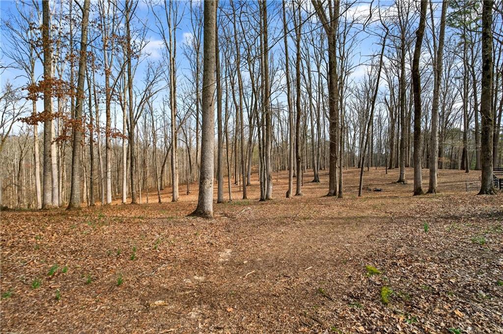 18568 Birmingham Highway