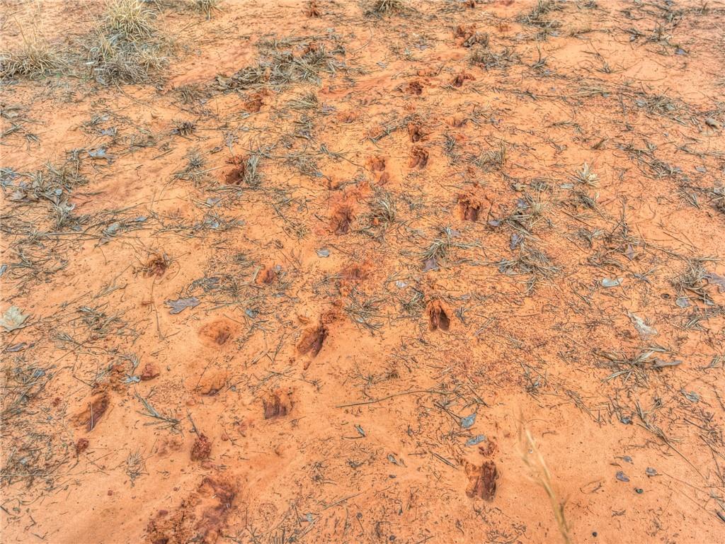 33783 Turkey Hill Lane