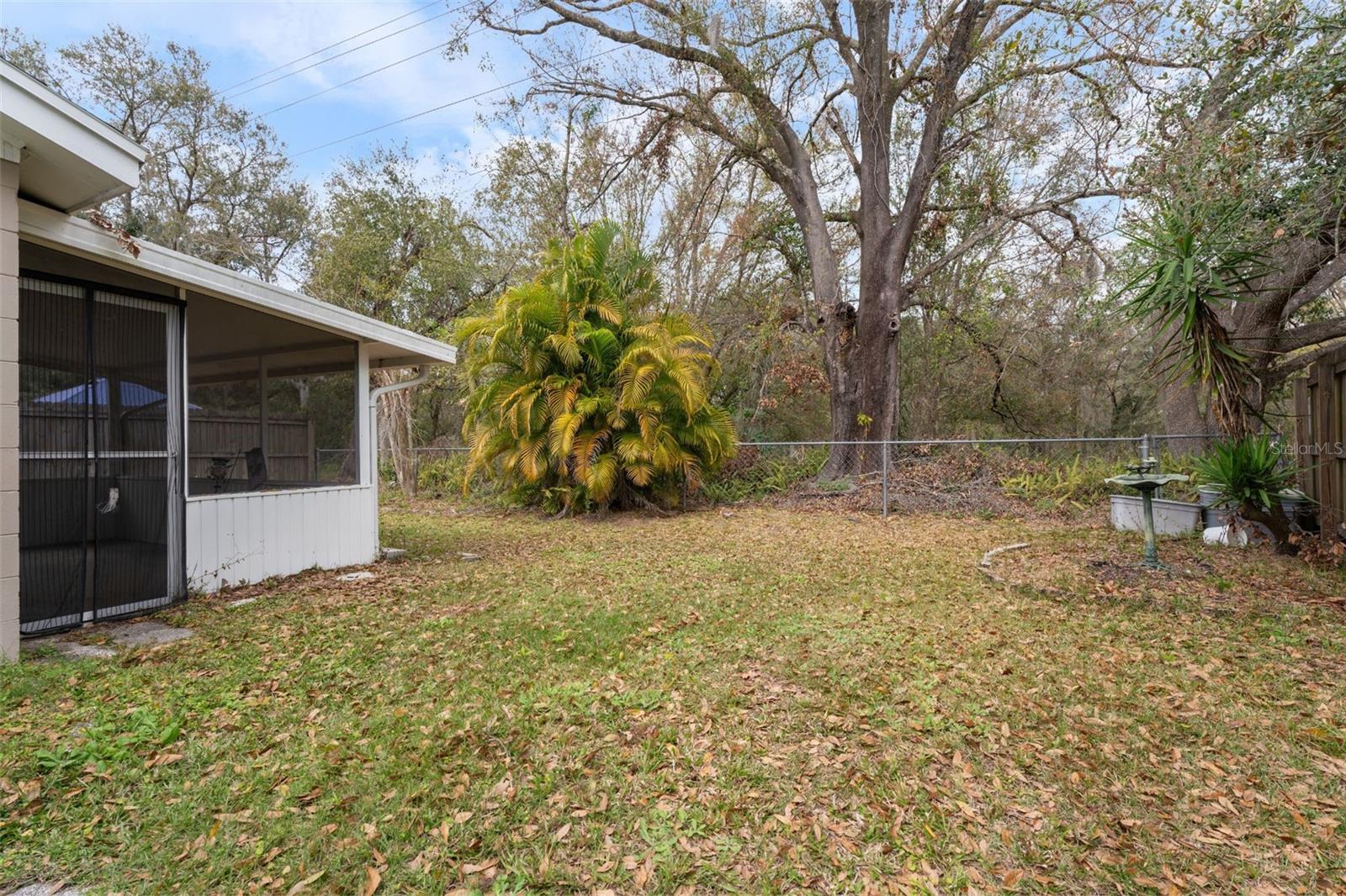 1317 BRAMBLEWOOD DR