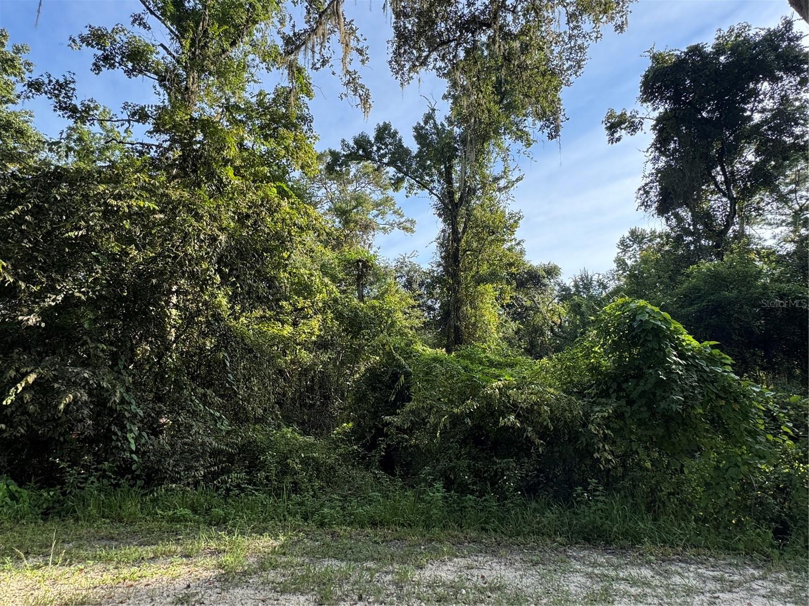 BARTH RD