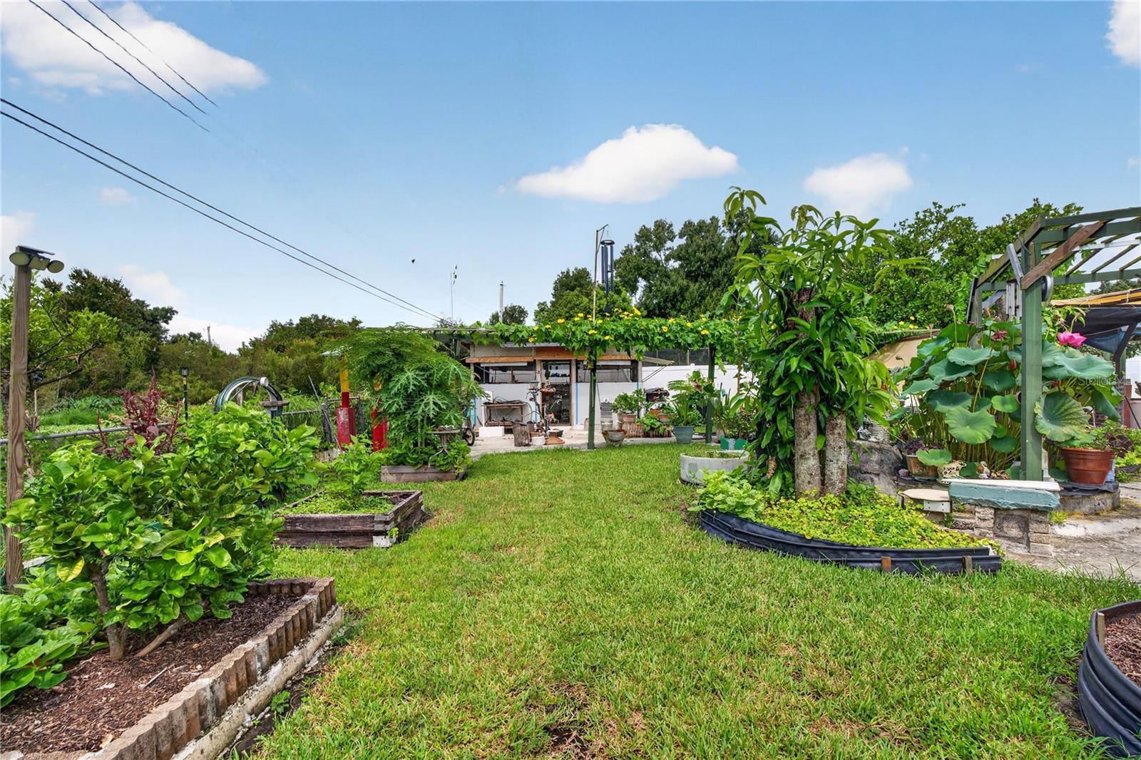 2558 MCINTOSH DR