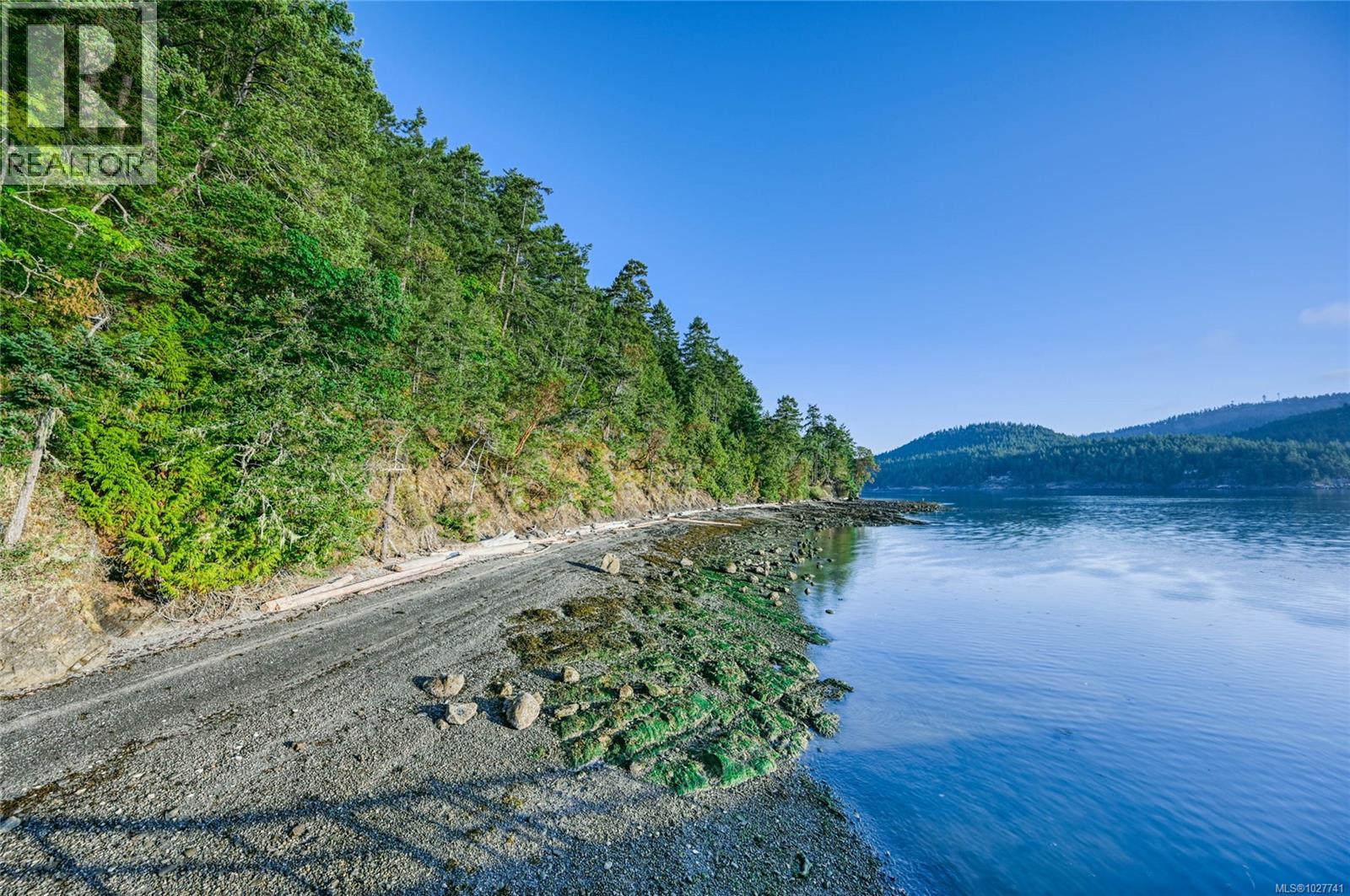 Rocky shoreline with a forested bluff beside calm water and wooded hills.
