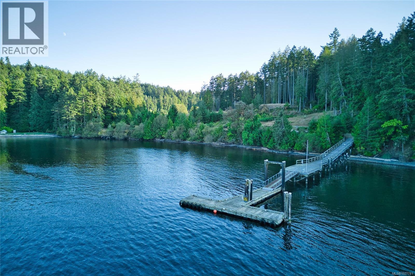 Wooden dock extending over calm water toward a forested shoreline.
