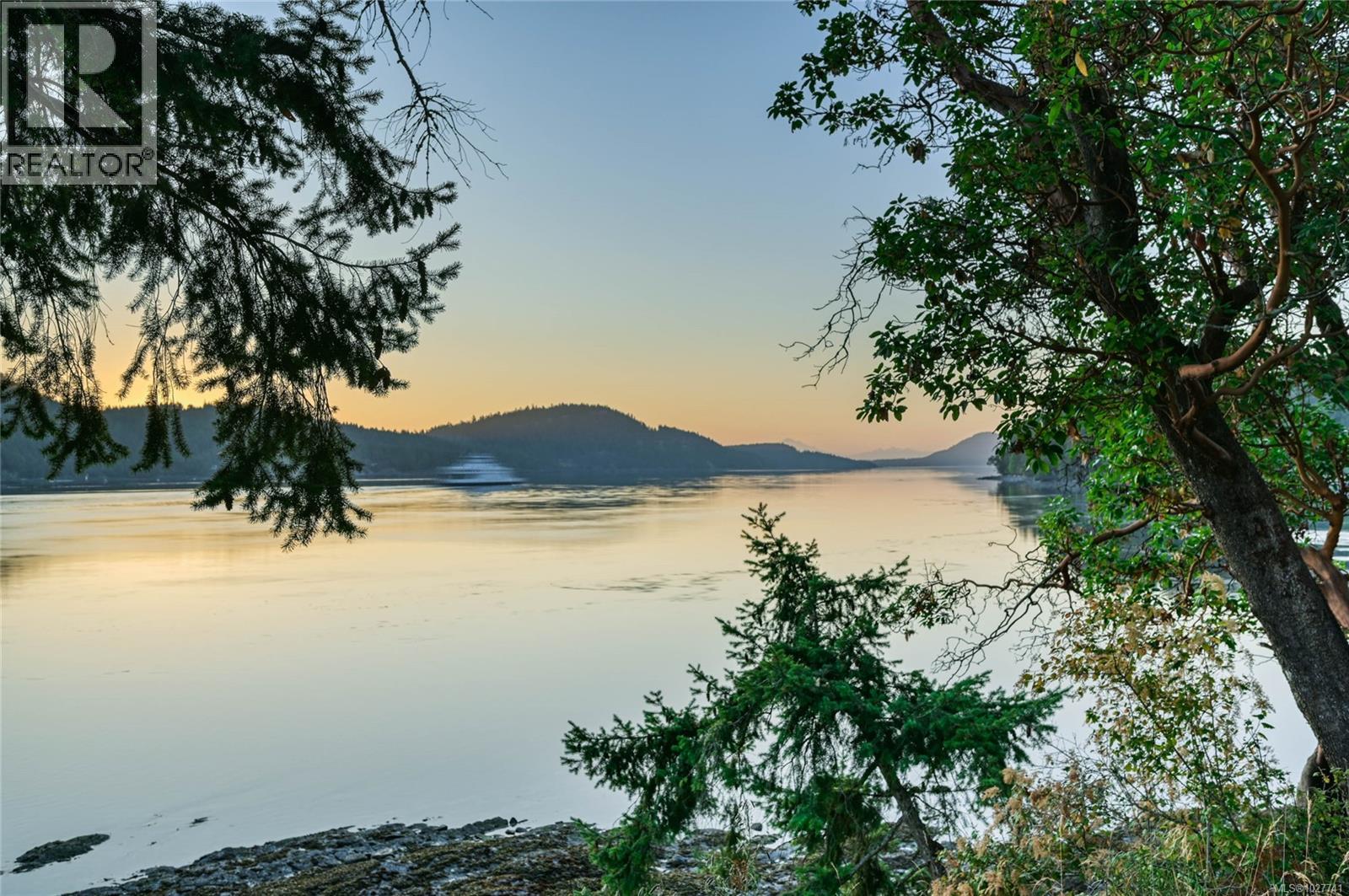 Calm coastal water and forested islands framed by evergreen branches at golden hour.