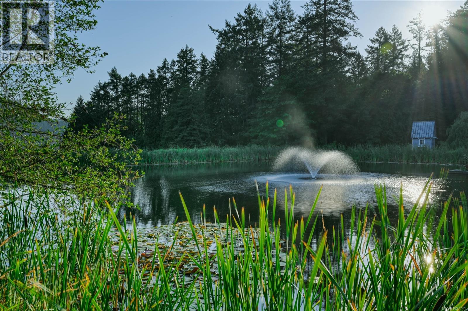 Pond with a fountain, framed by reeds and evergreens, with a small blue shed on the far bank.