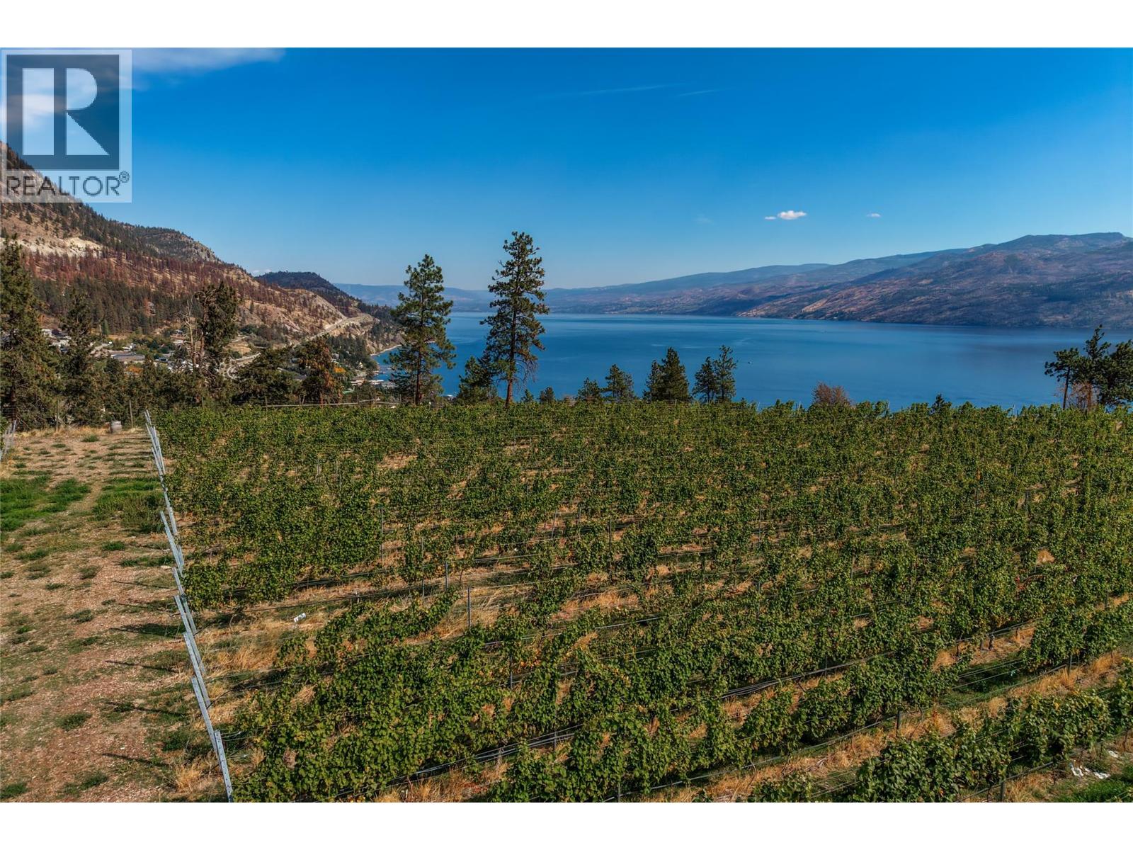 Vineyard rows overlooking a blue lake and surrounding mountains.