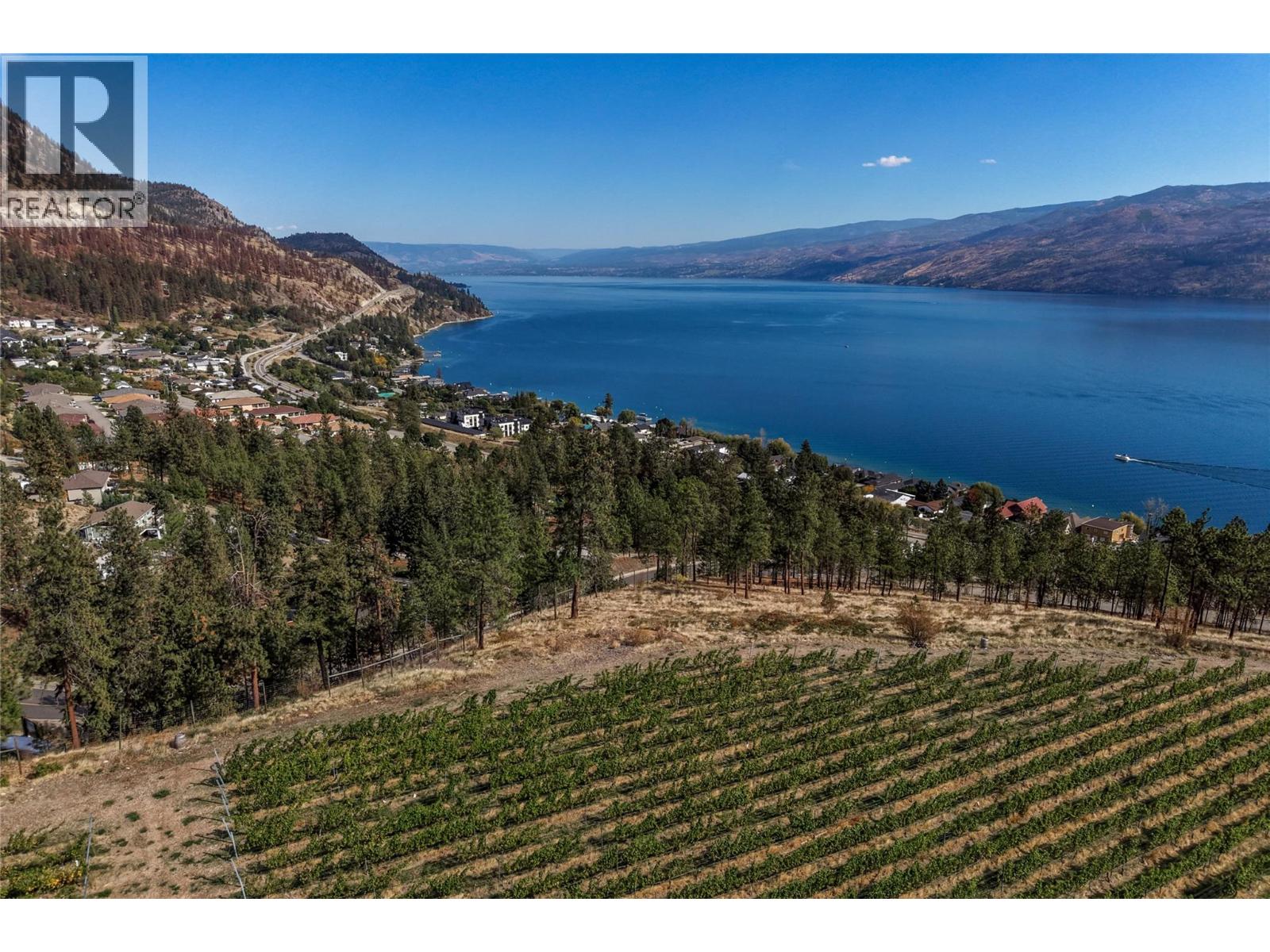 Vineyard hillside overlooking a blue lake, shoreline homes, and distant mountains.