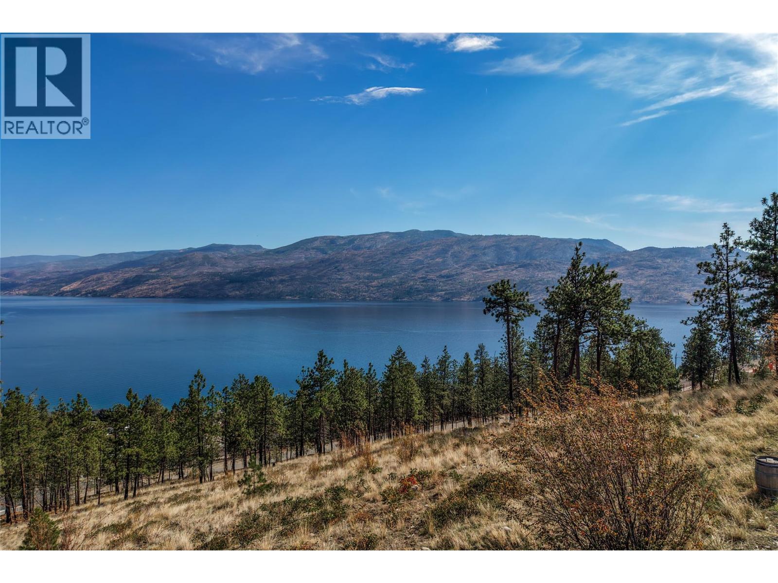 Hillside view across a lake to distant mountains, framed by pines and dry grass.