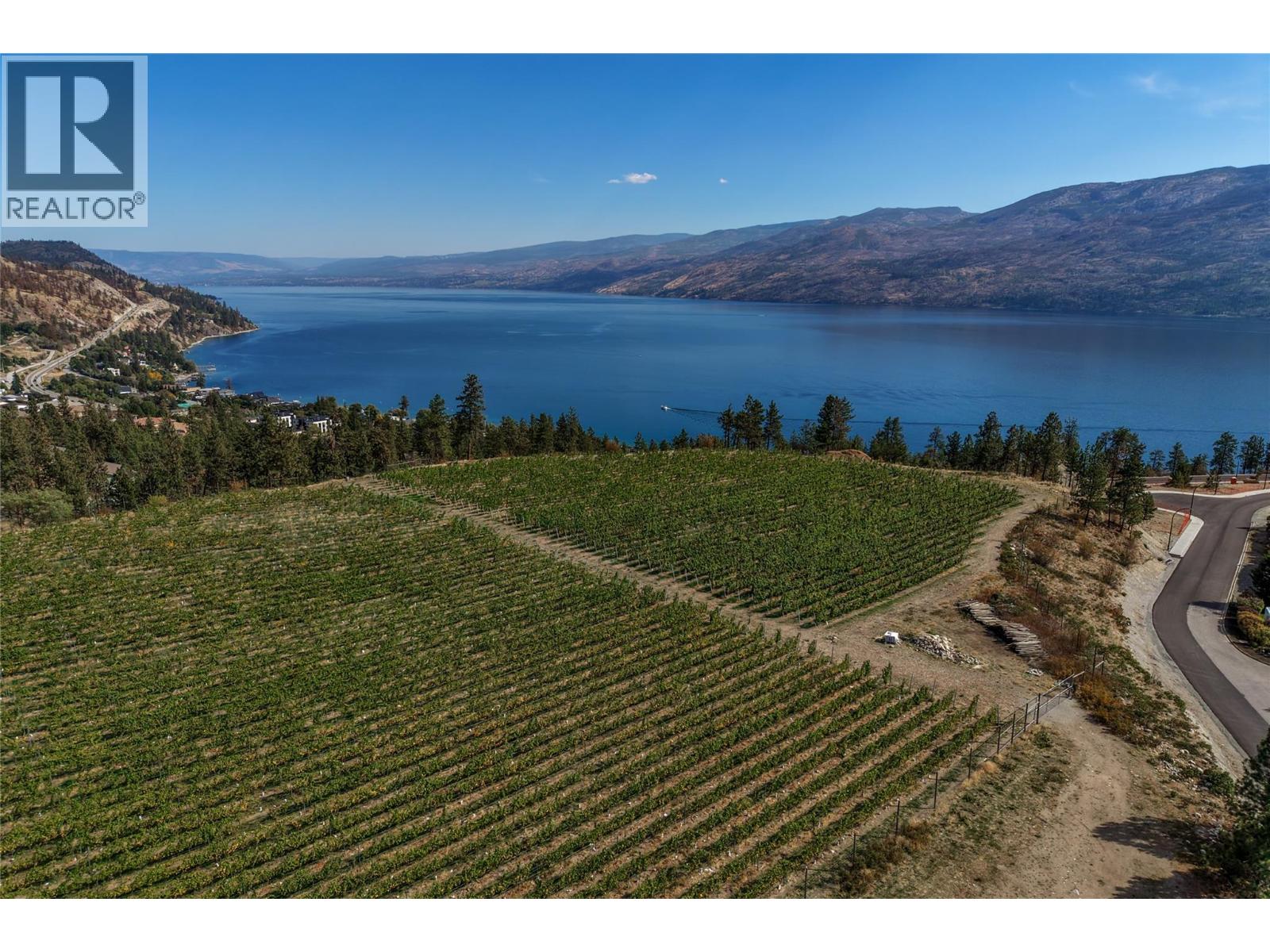 Vineyard rows overlook a lake and mountain range from a hillside.