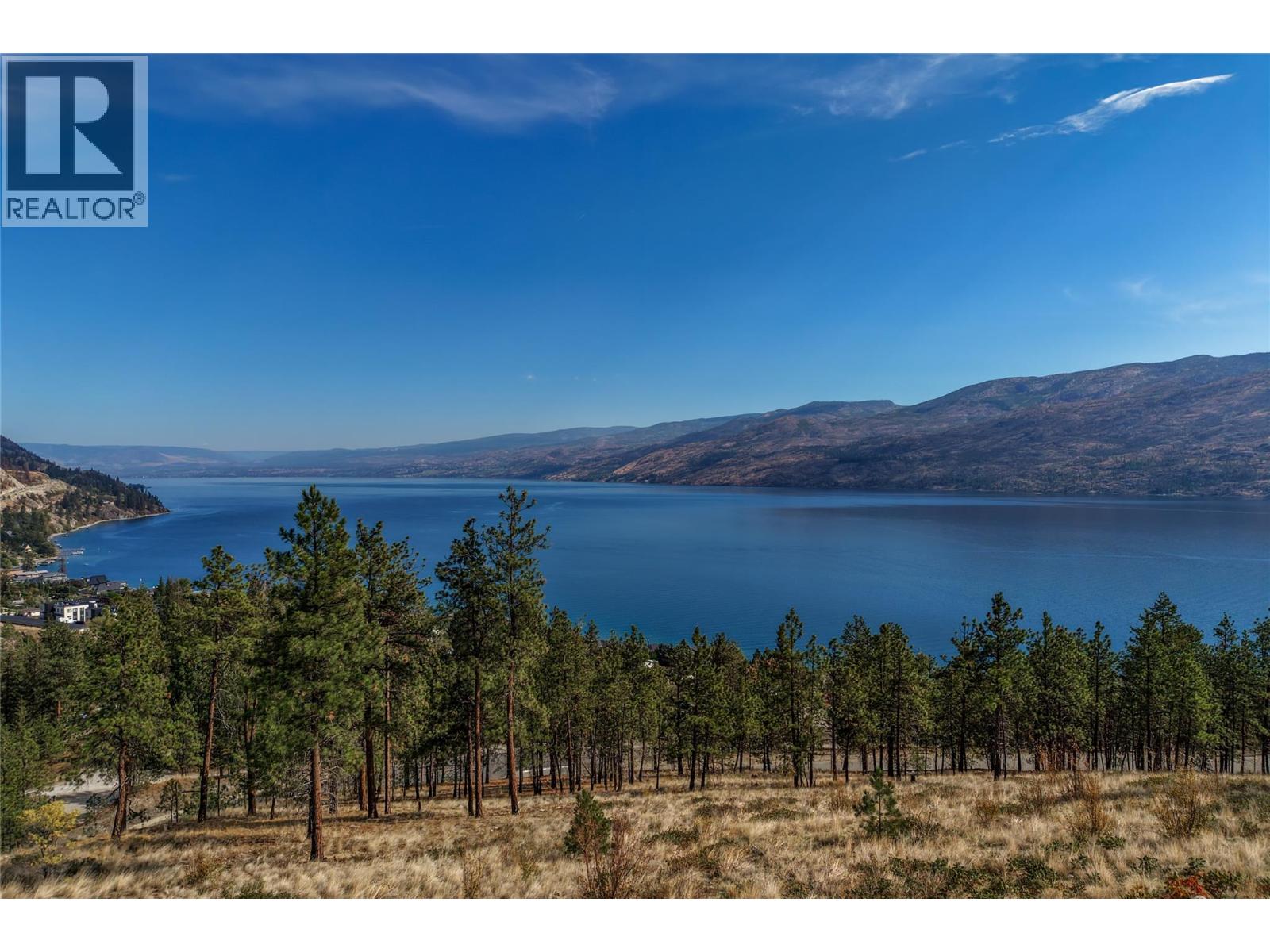 Panoramic lake and mountain view above a pine-covered hillside.