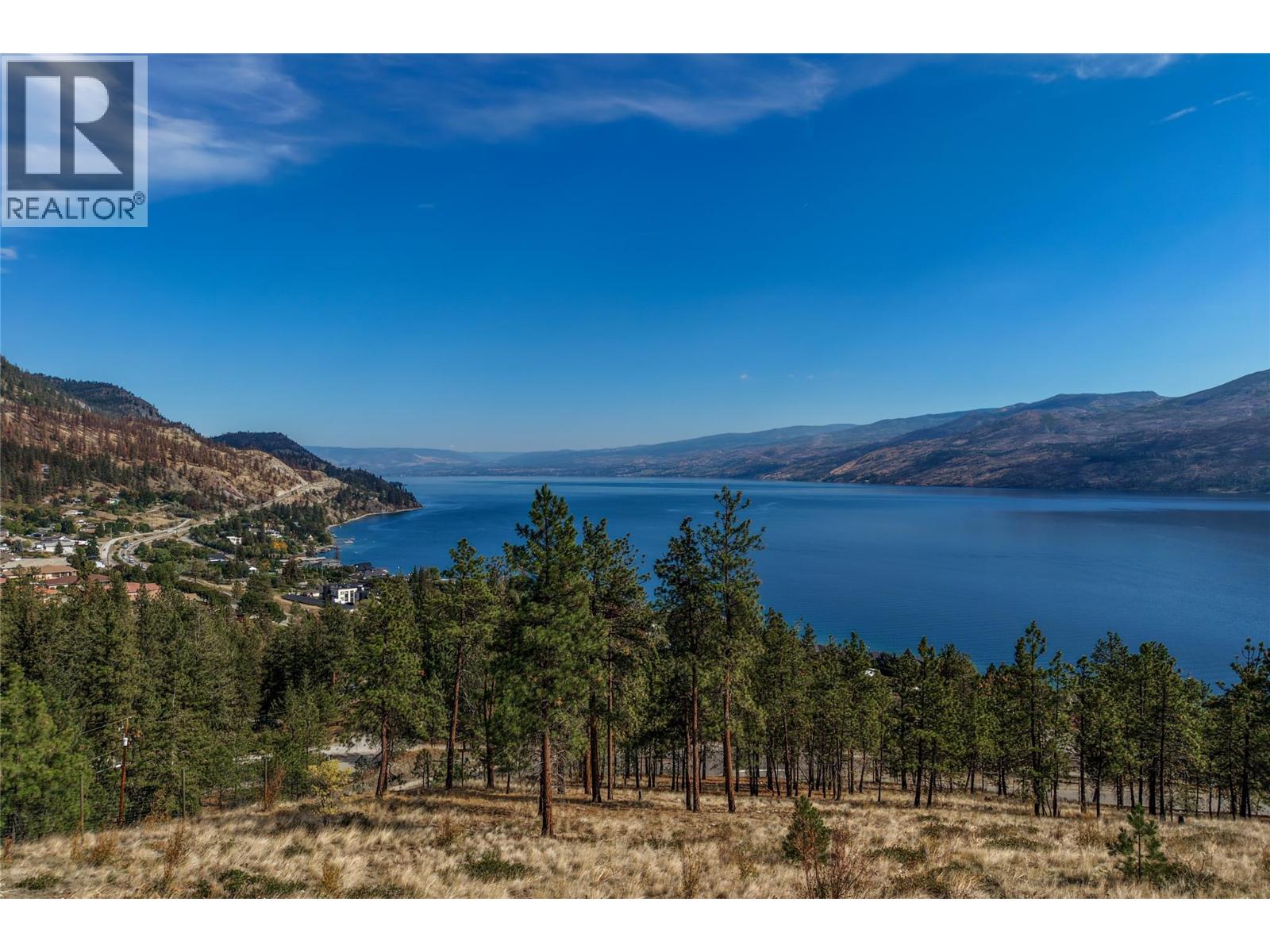 Panoramic lake and mountain view from a pine-covered hillside above the shoreline.