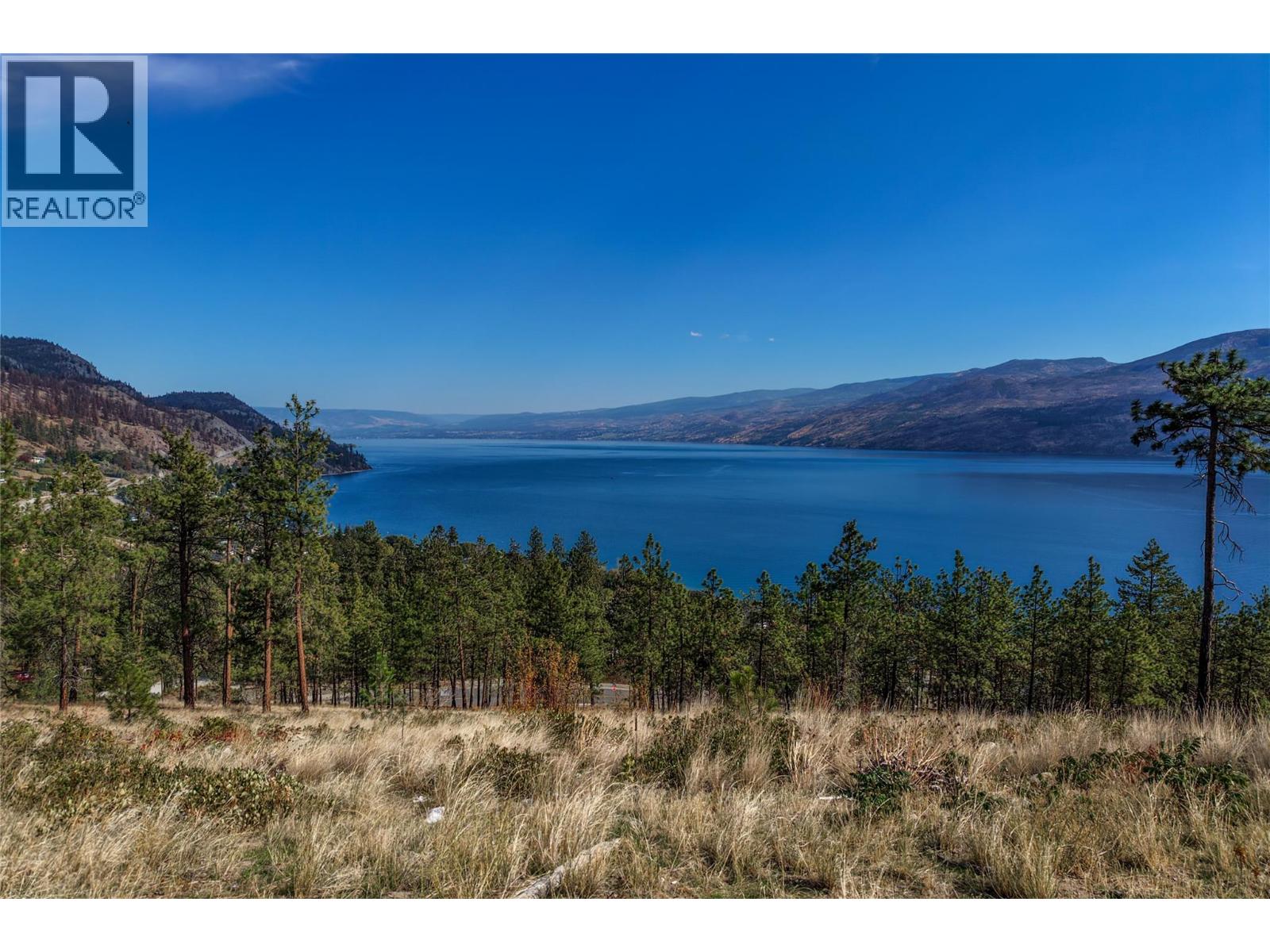 Lake and mountain view beyond a grassy hillside dotted with pine trees.