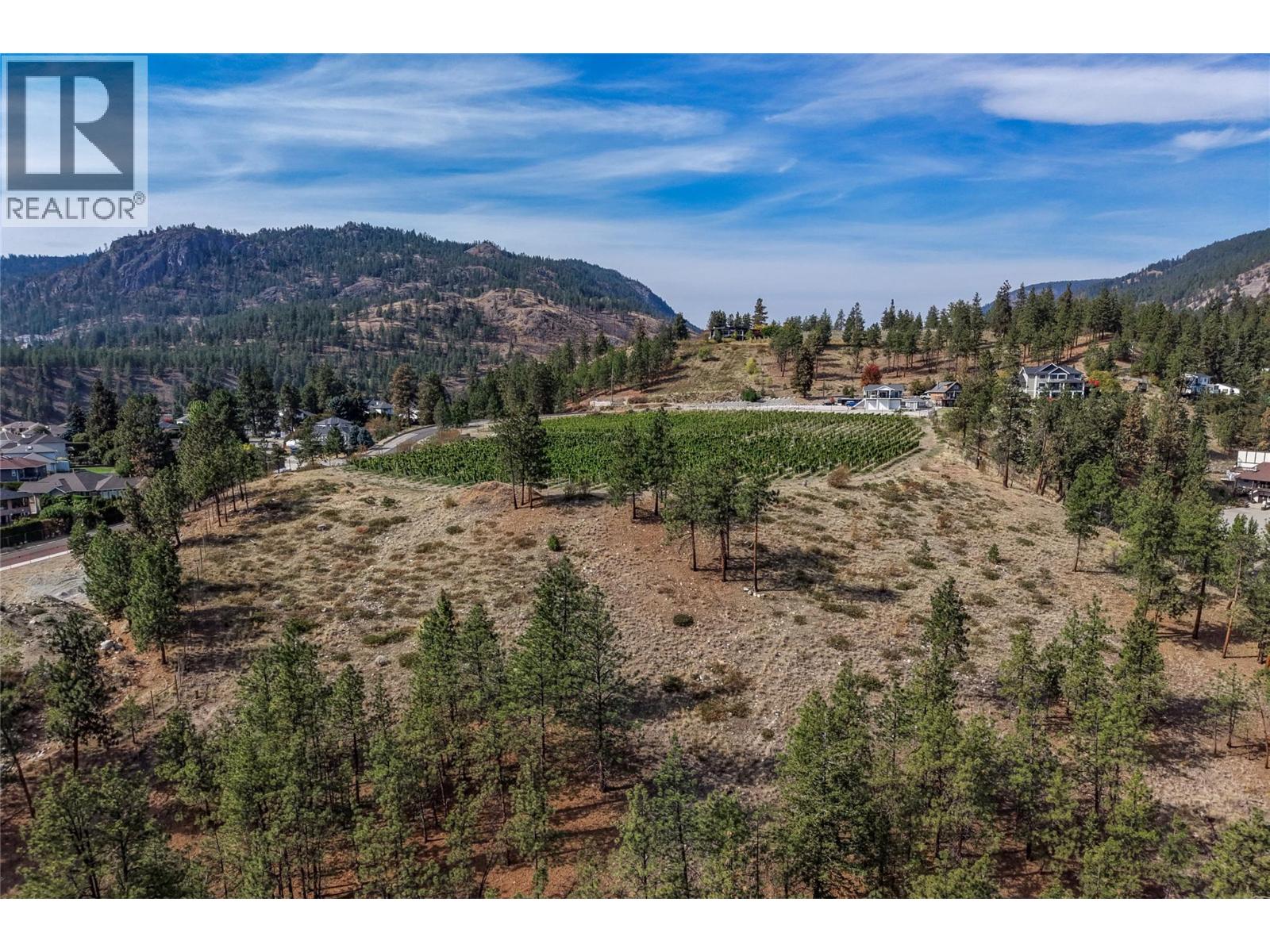 Aerial view of open land with a vineyard, scattered pines, and forested mountain hills.