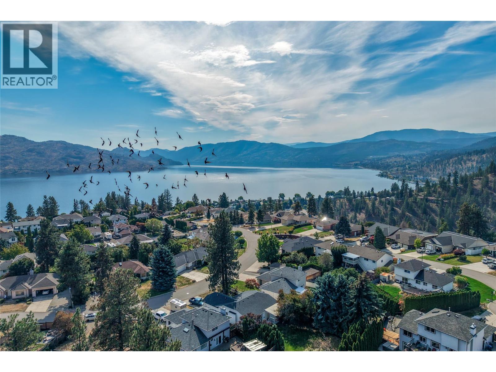 Aerial view of lakeside homes, with mountains beyond and birds flying overhead.