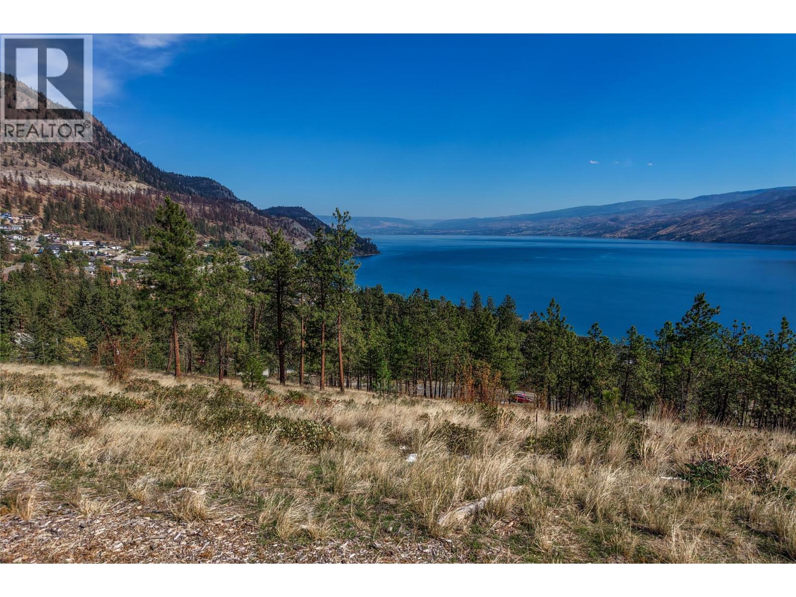 Panoramic lake and mountain view from a dry, grassy hillside property.