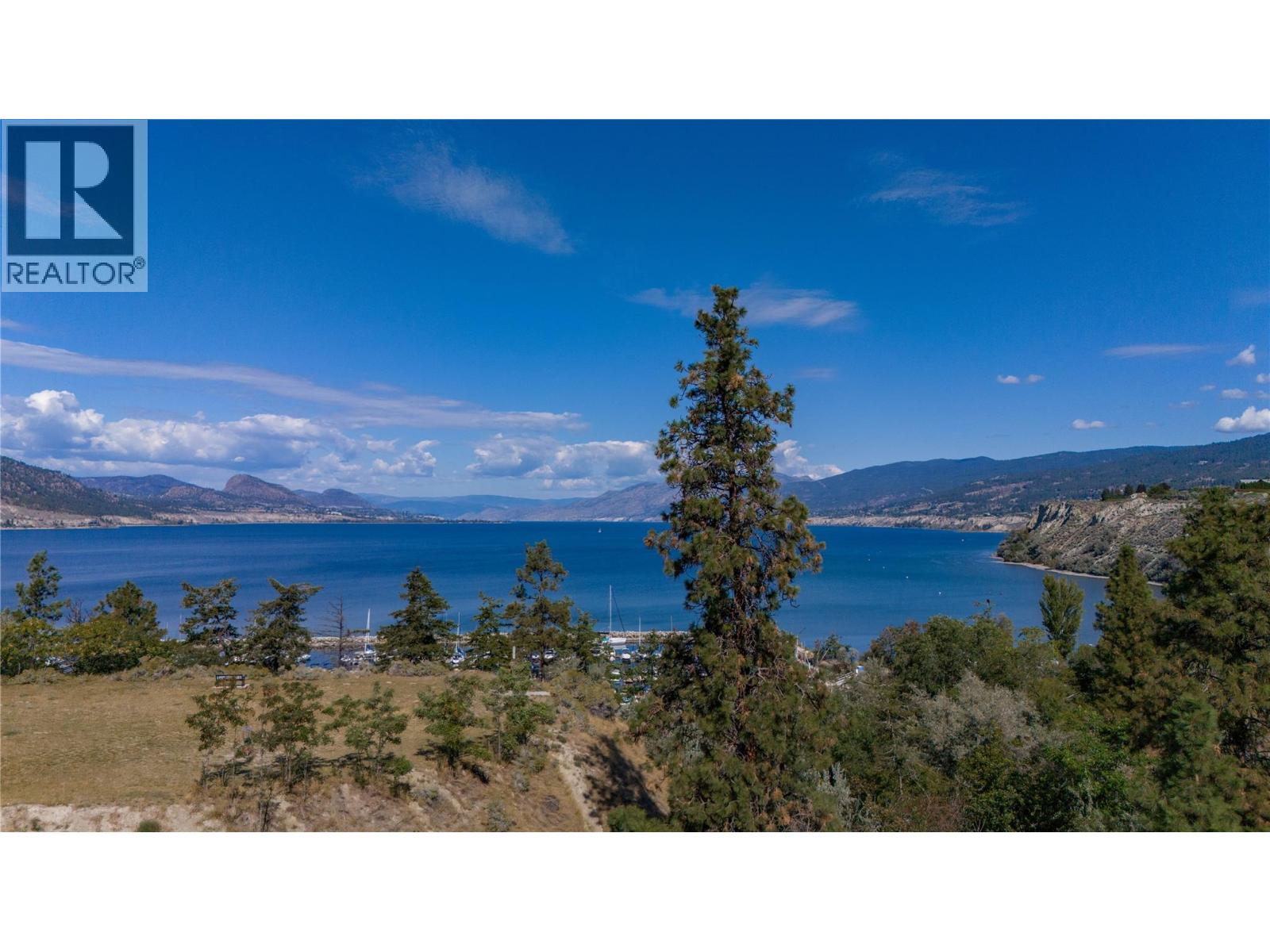 Lake and mountain views from a dry, tree-dotted hillside above a marina.