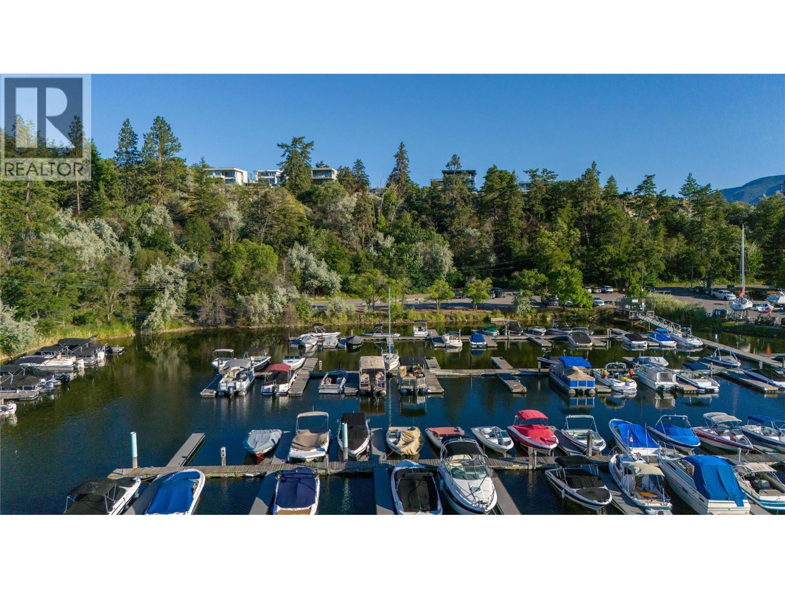 Marina with boats moored at docks below a wooded hillside.
