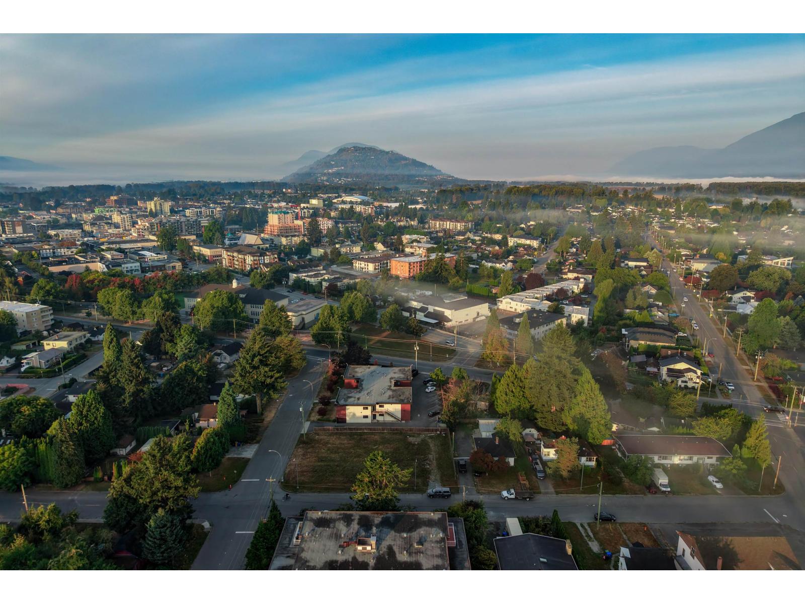 Aerial neighborhood view with tree-lined streets and hazy mountains in the distance.