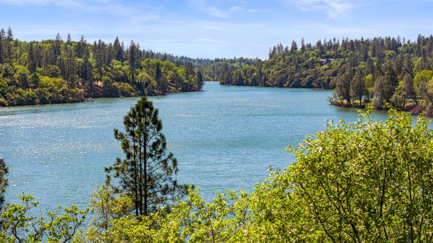 2555 Lake Van Giesen Road