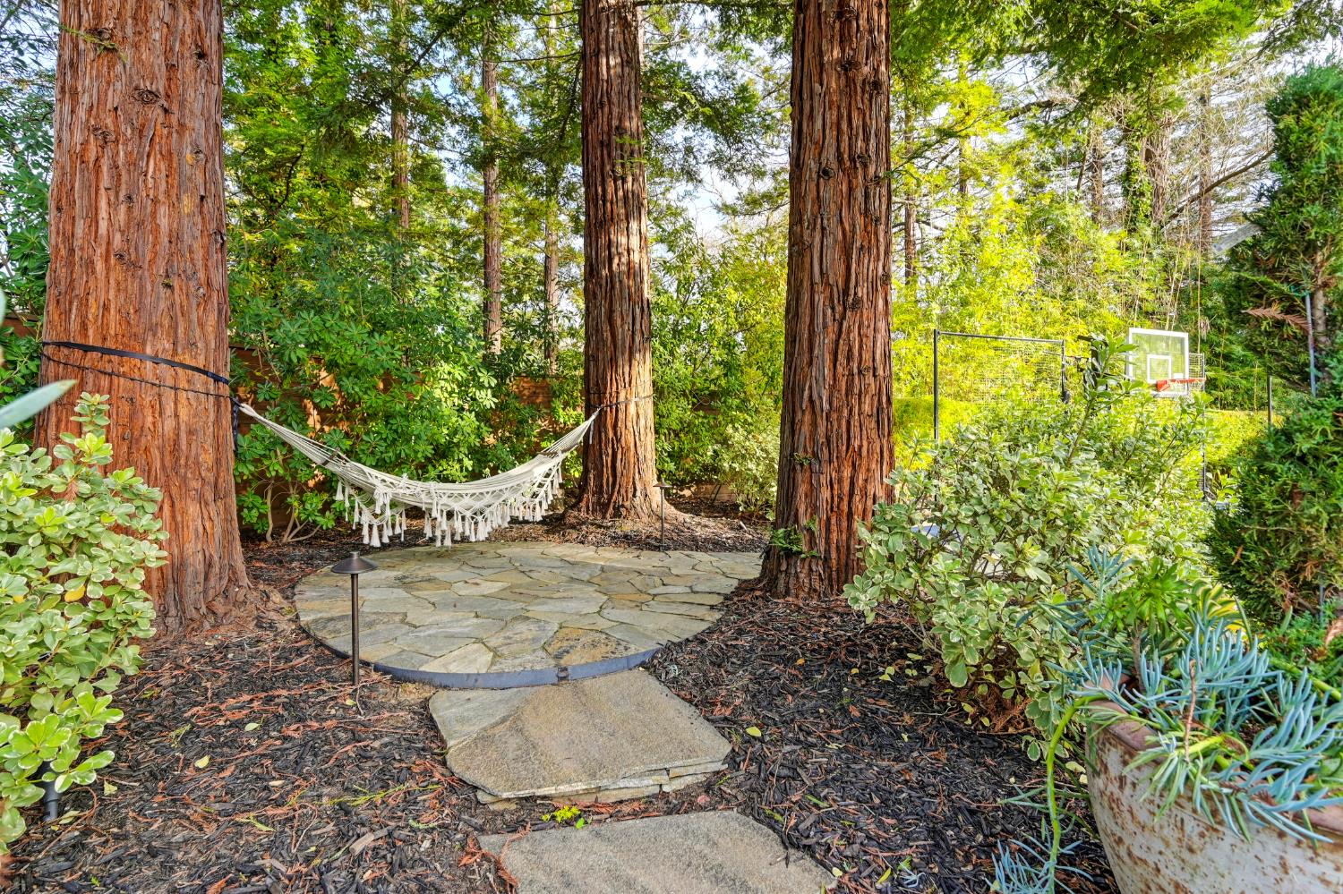 8060 Shelborne Drive