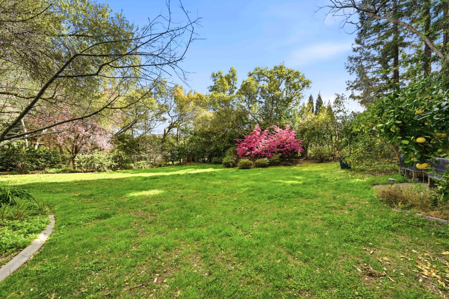 7475 Shelborne Drive