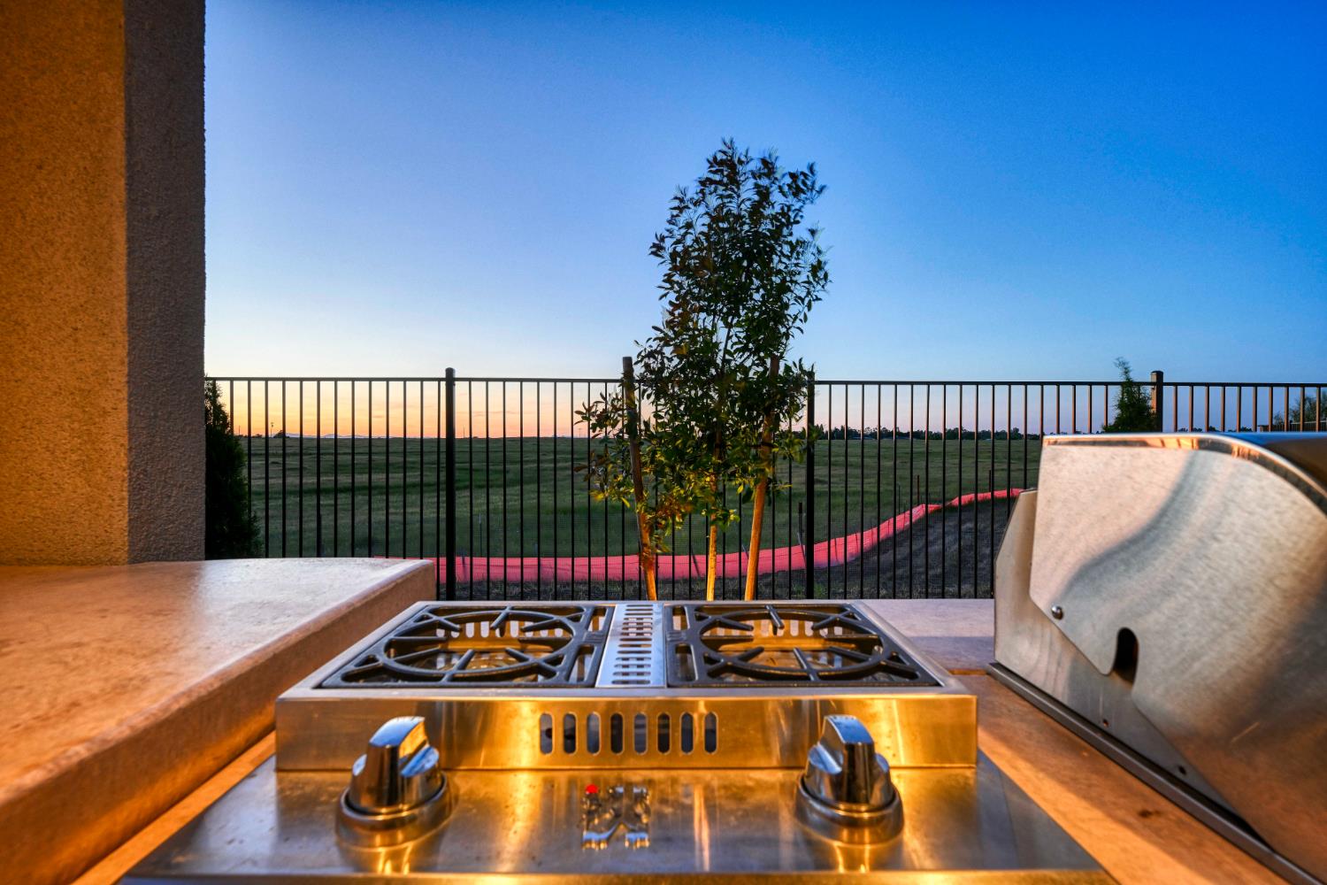 841 Rosette Court