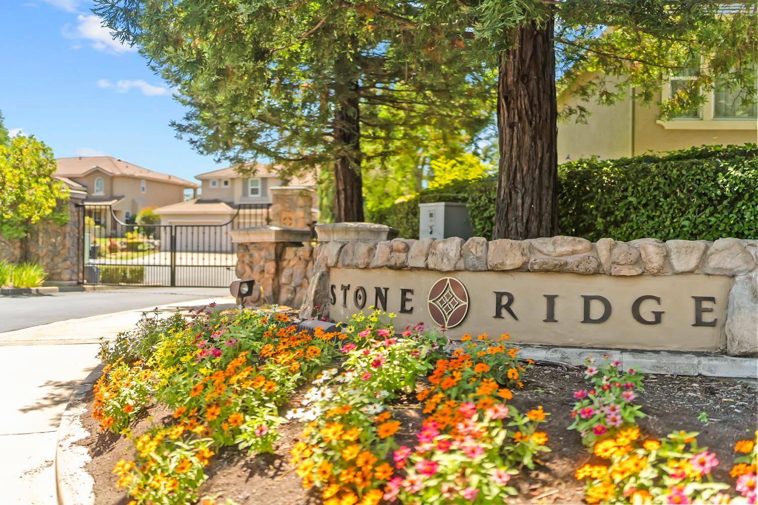 1580 Vista Ridge Way