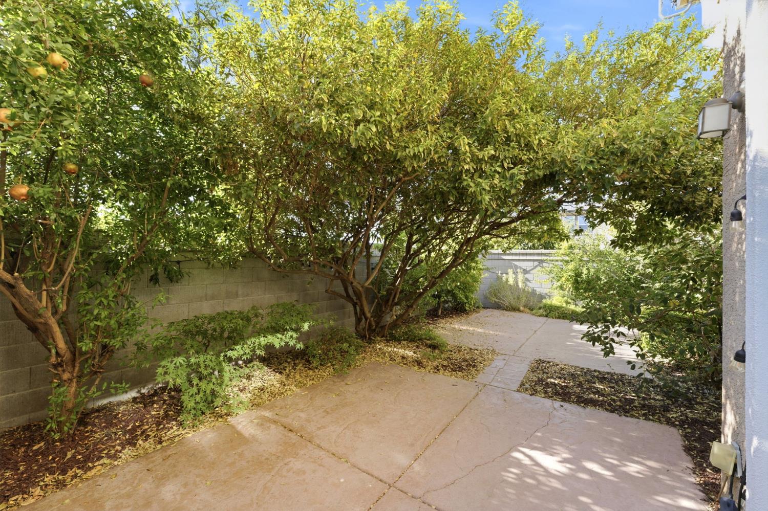 7515 Sheldon Road 14103