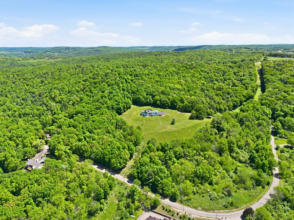 1383 Orange Hill