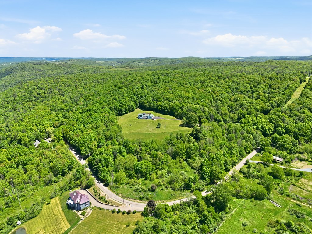 1383 Orange Hill
